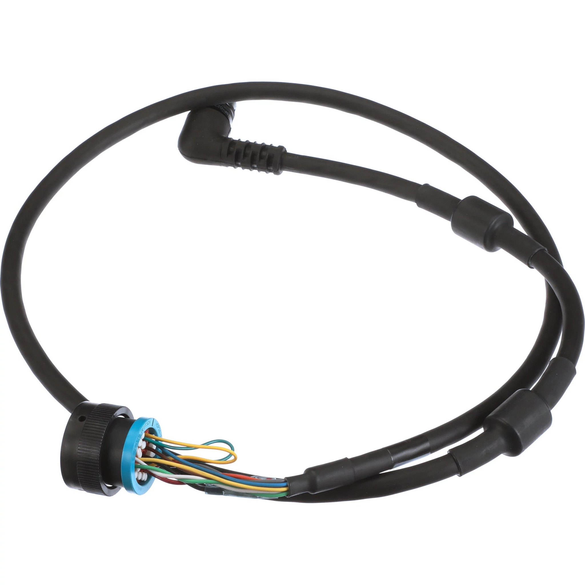 Display Wire Harness | CASECE | CA | EN