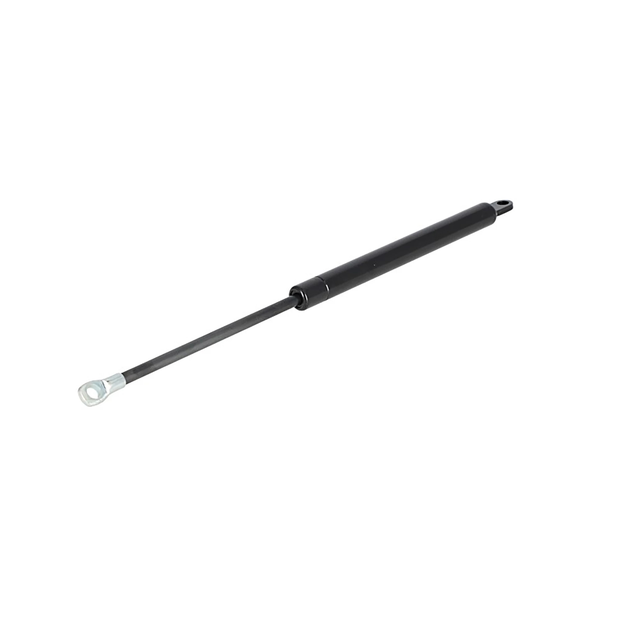 Gas Strut Spring Cylinder - Hood | CASEIH | US | EN