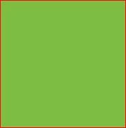 Steiger Green Enamel Paint - Aerosol Can | CASEIH | AU | EN