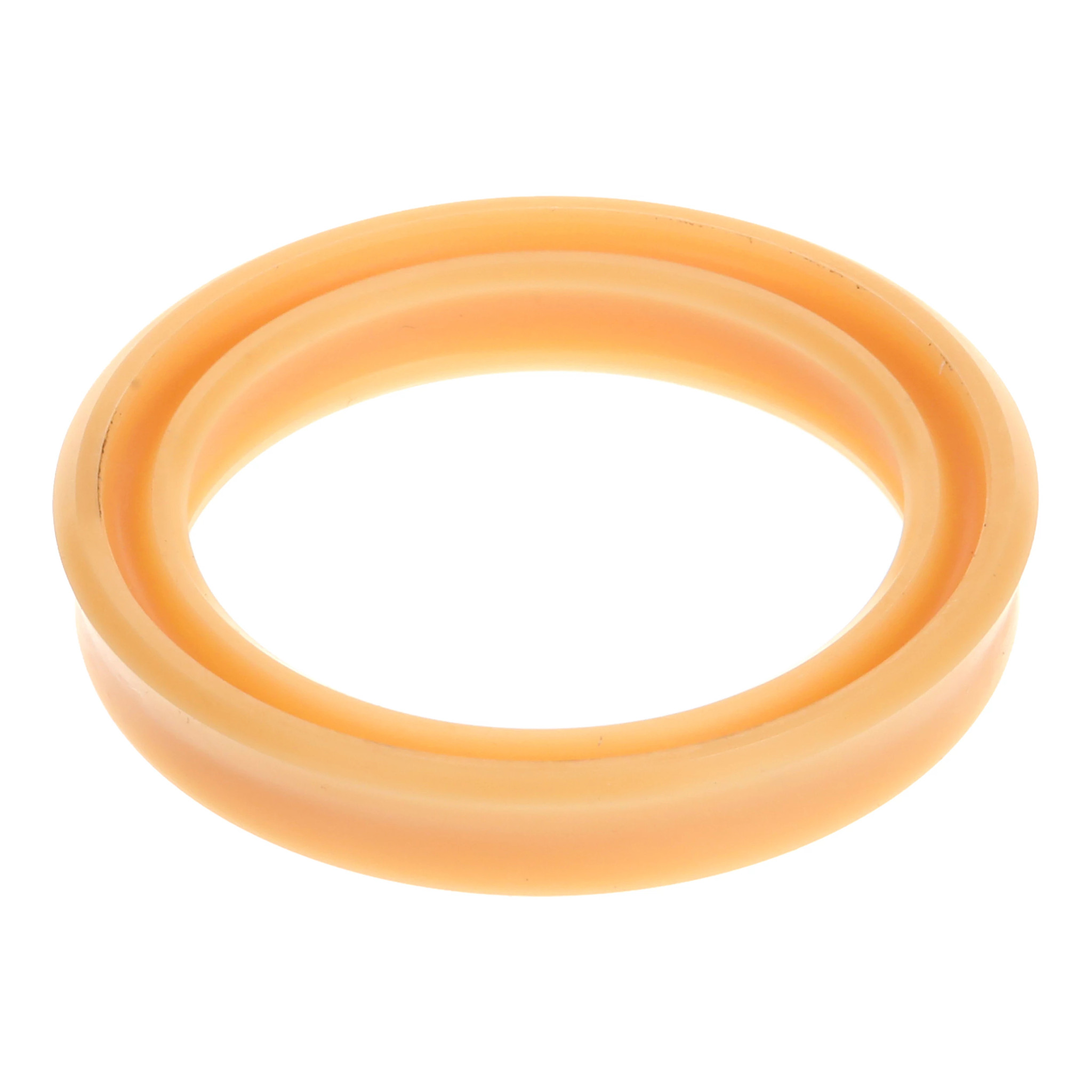 SEAL | CASEIH | SA | EN