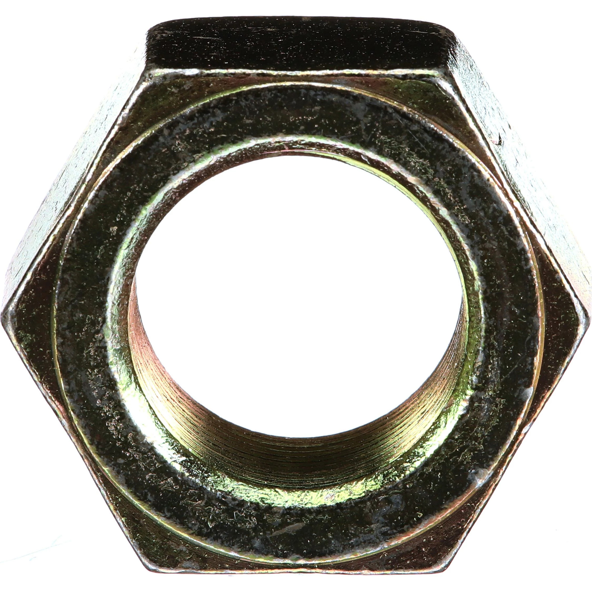 PORCA | CASECE | EU | PT