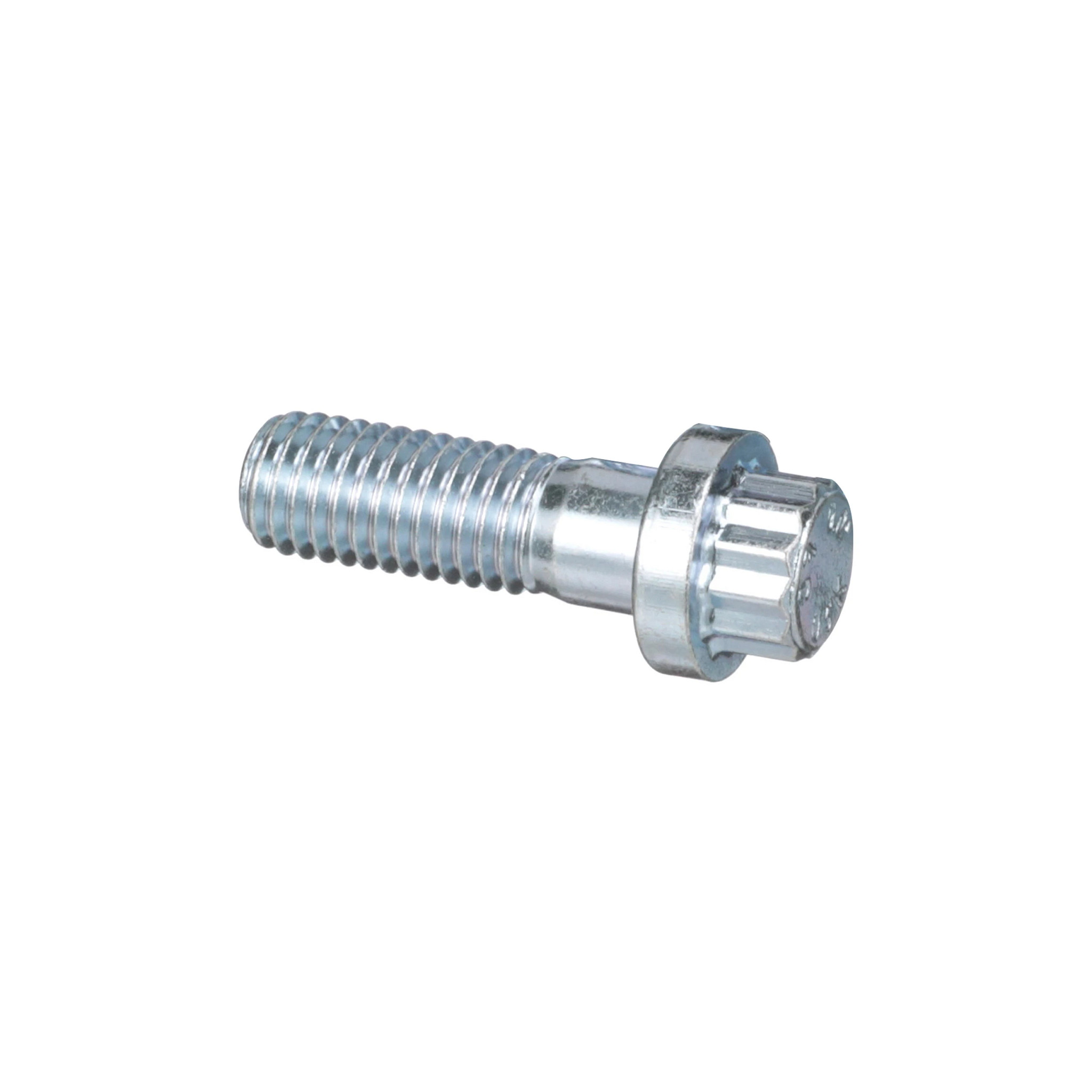 12 PT SCREW | CASECE | ANZ | EN