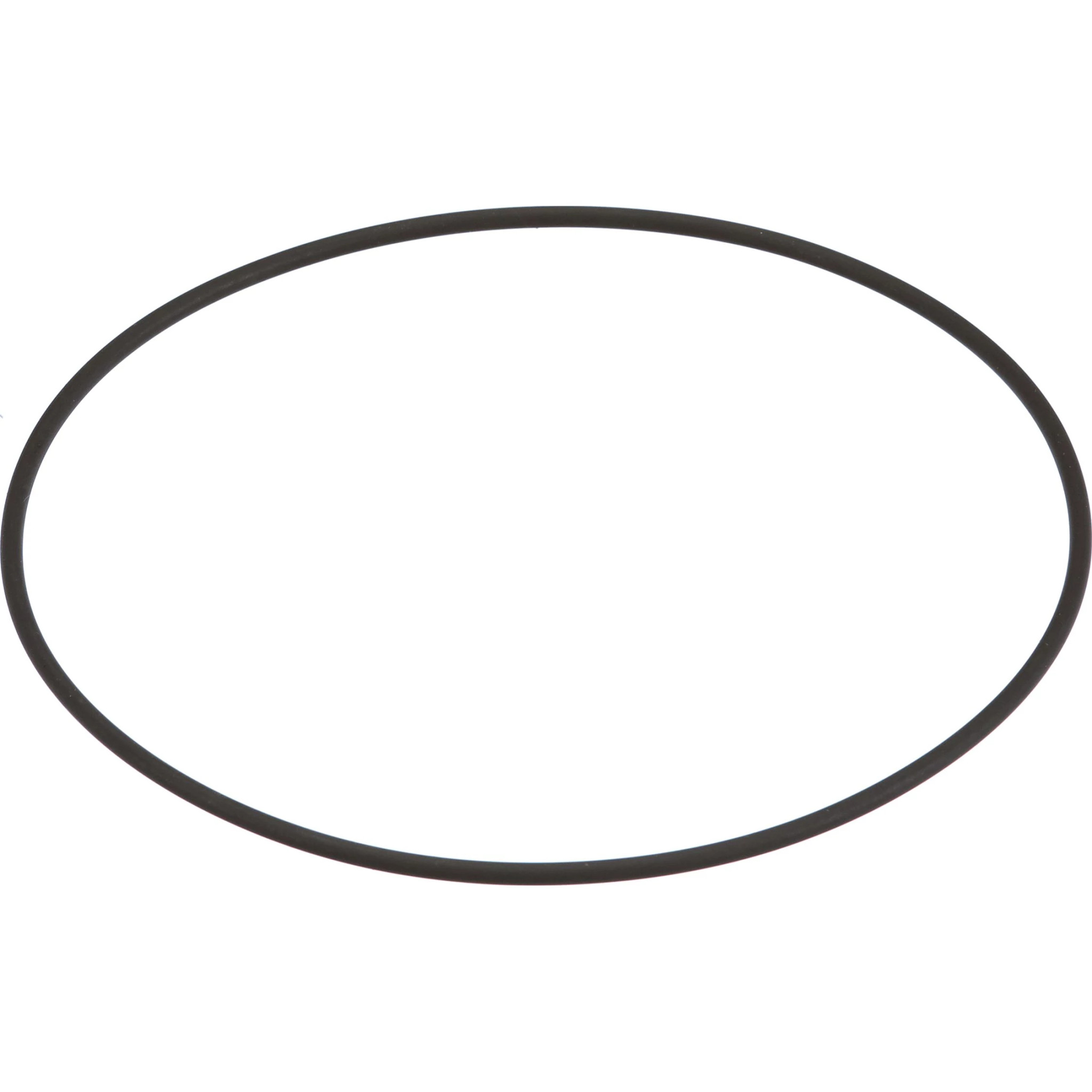 O-ring | CASECE | CA | EN