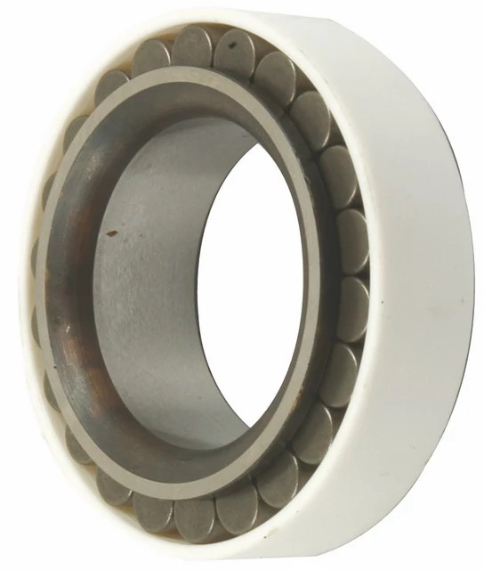 BALL BEARING | CASEIH | GB | EN