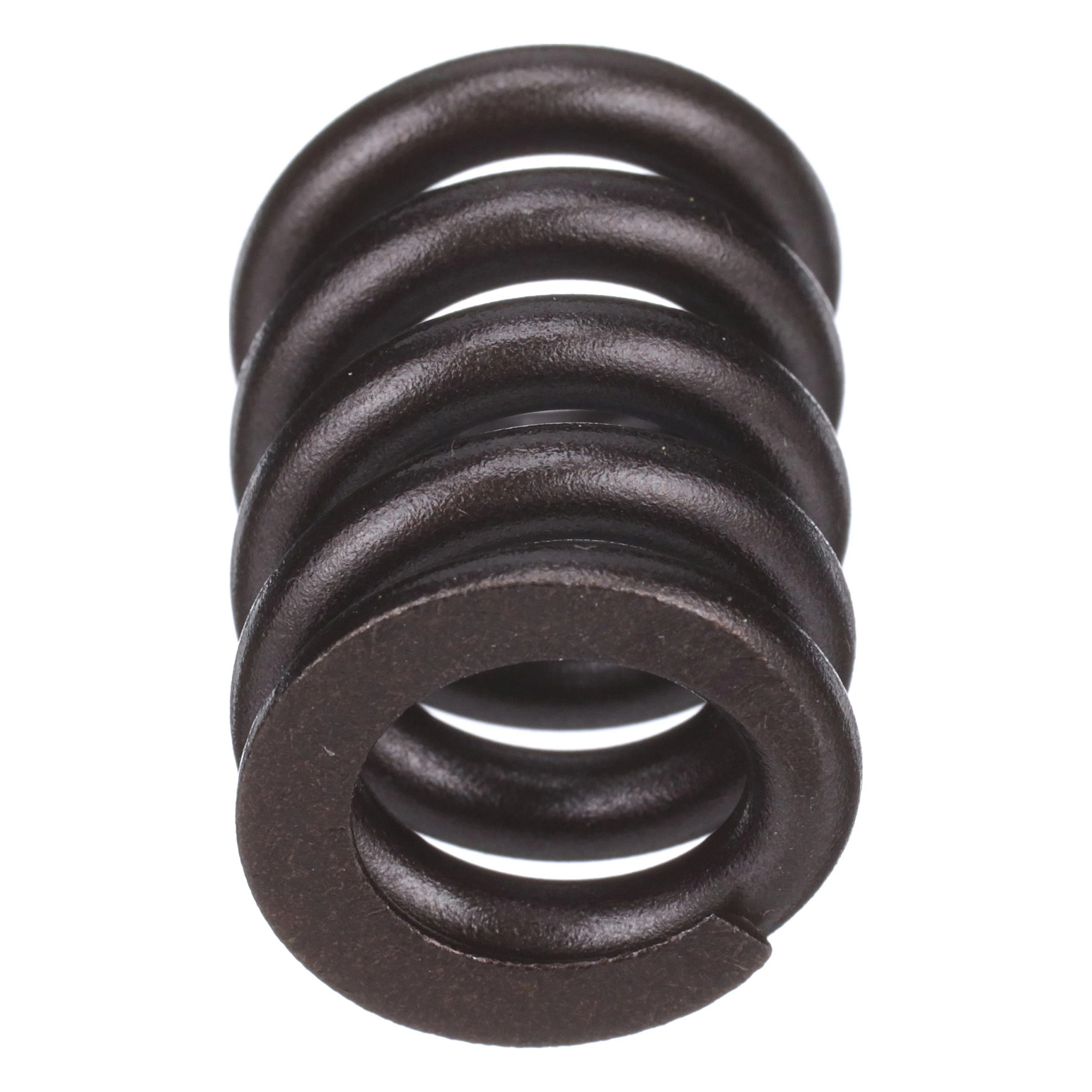 SPRING | CASECE | CA | EN