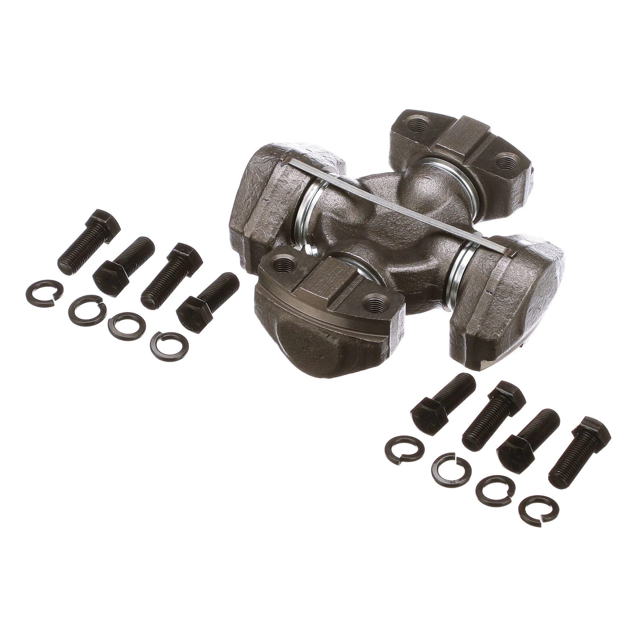 SPIDER | CASECE | SA | EN