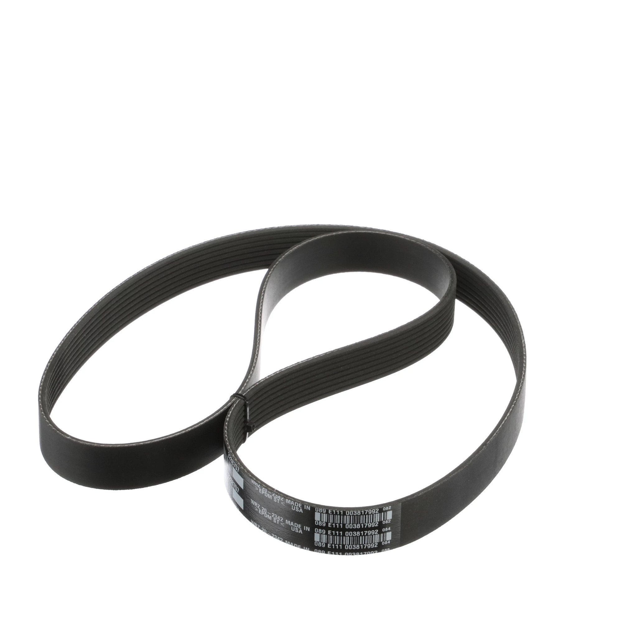 Engine Belt | CASECE | BR | PT