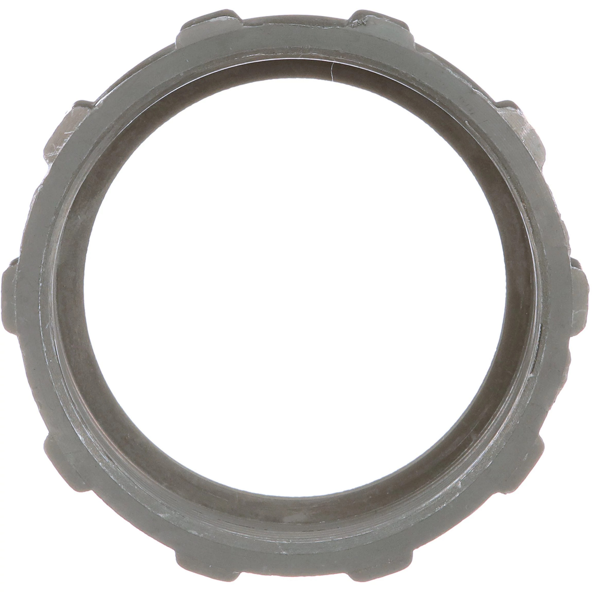 SPECIAL NUT | CASECE | AMEA | EN