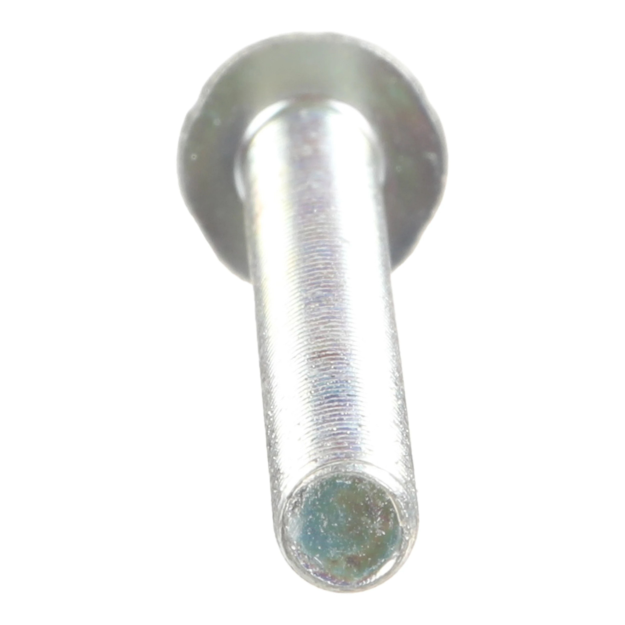 BOLT | CASECE | CA | EN