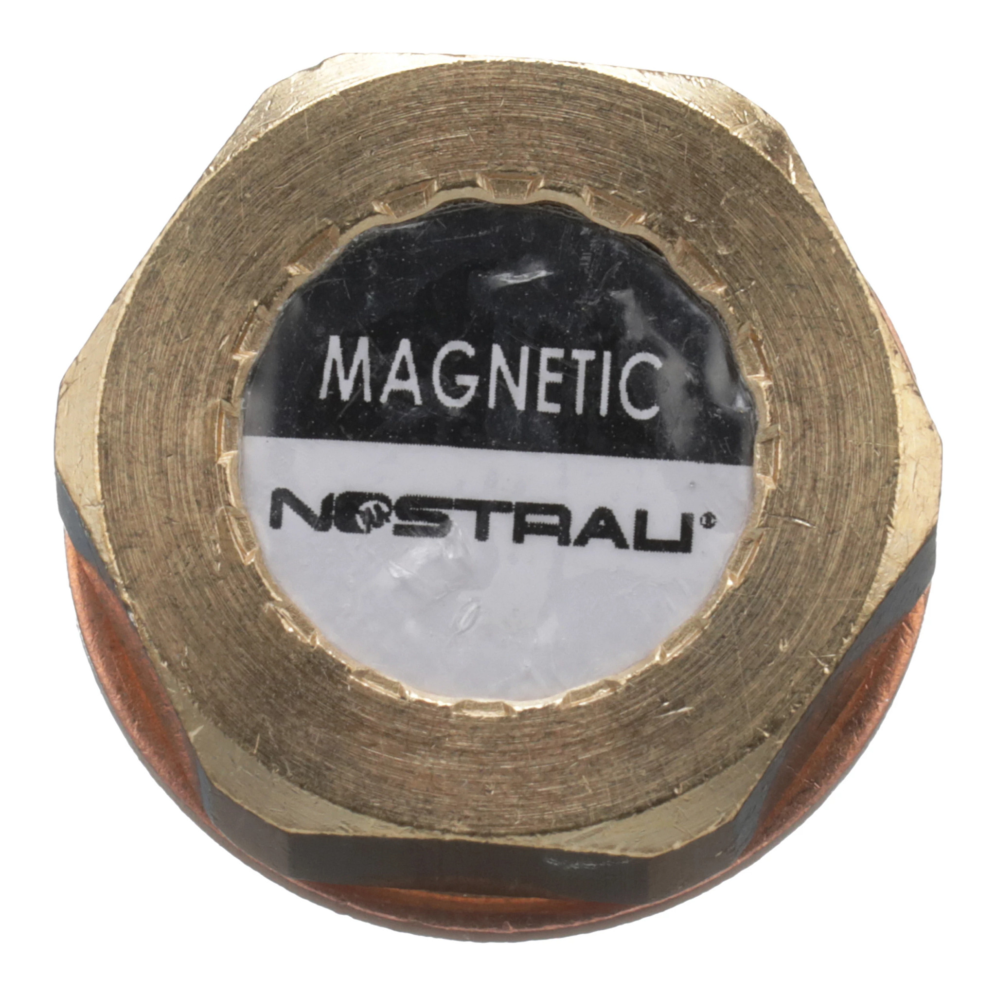 MAGNETIC PLUG | CASEIH | IE | EN