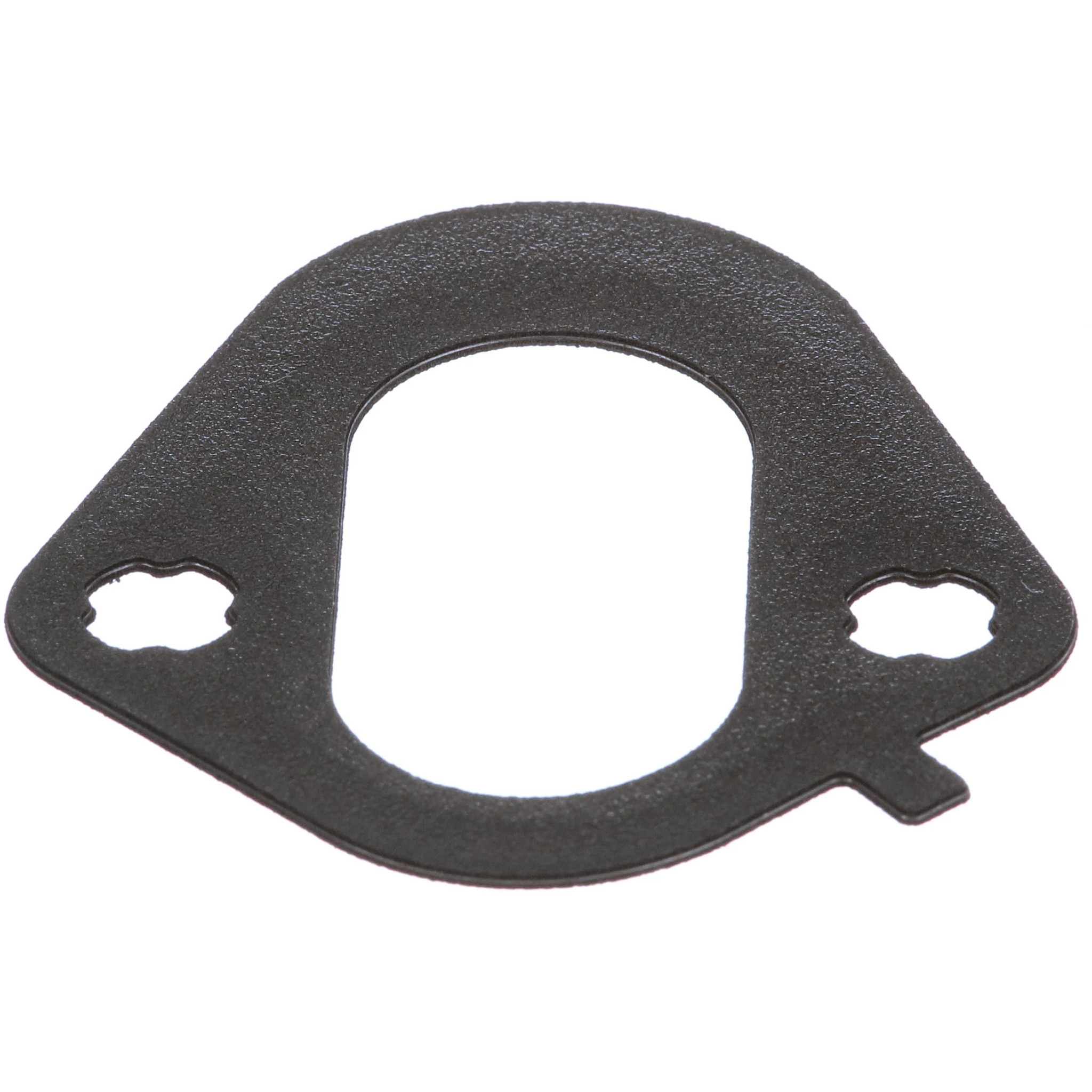 GASKET | CASECE | EU | EN