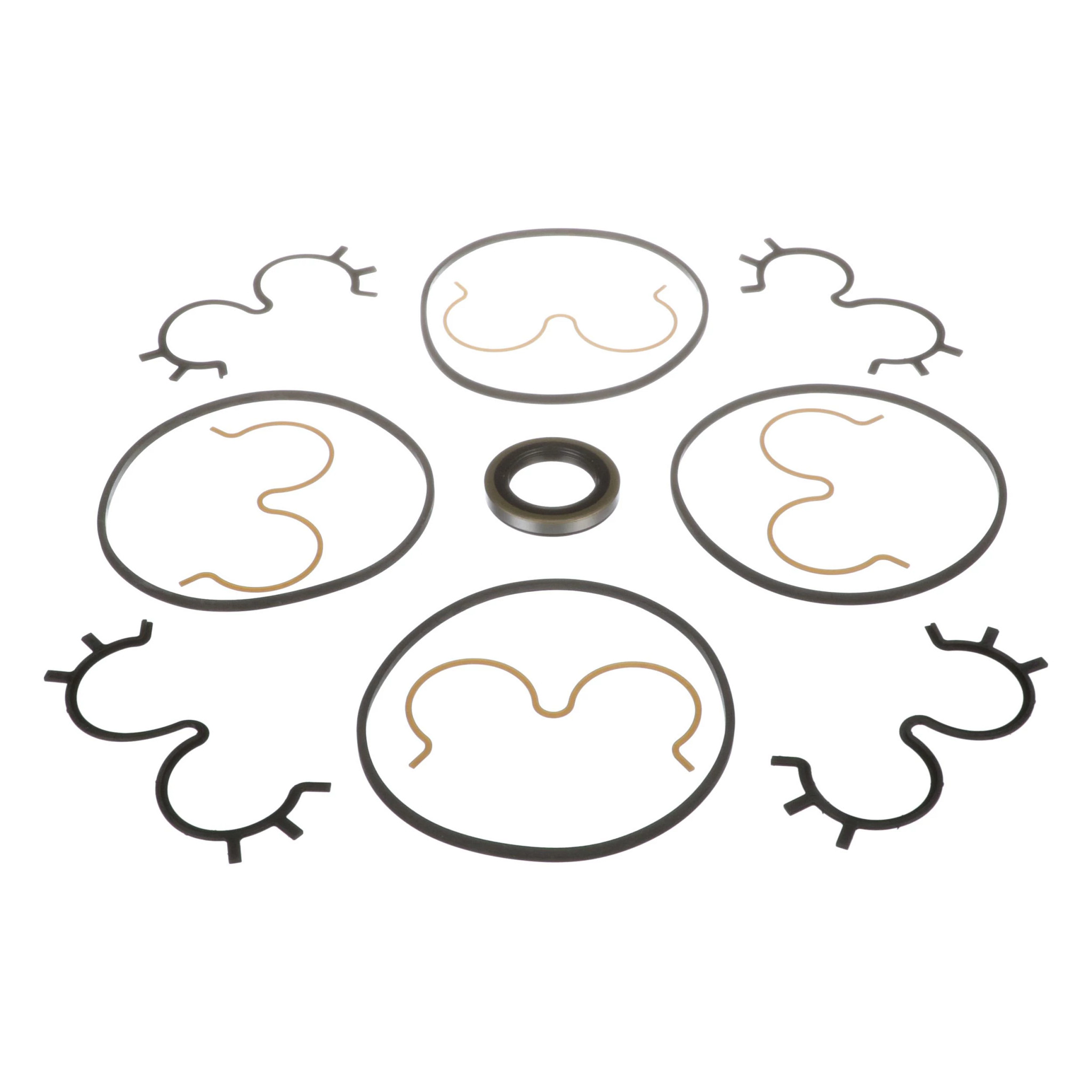 SEAL KIT | CASEIH | IE | EN