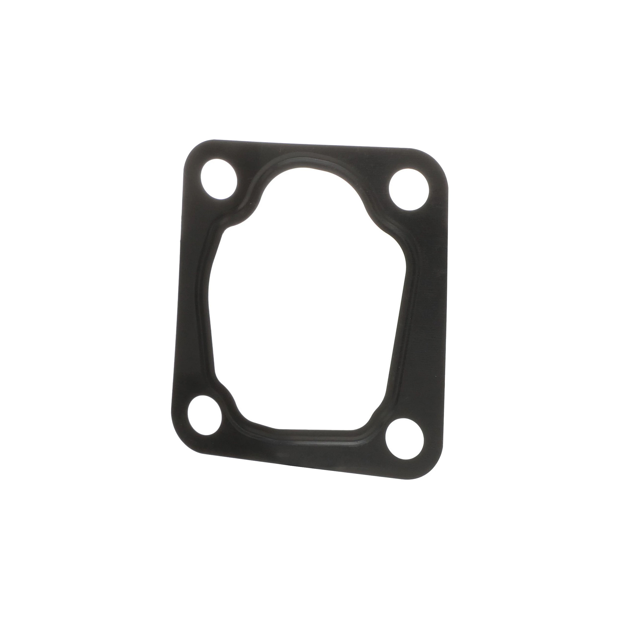 GASKET | CASECE | SA | EN