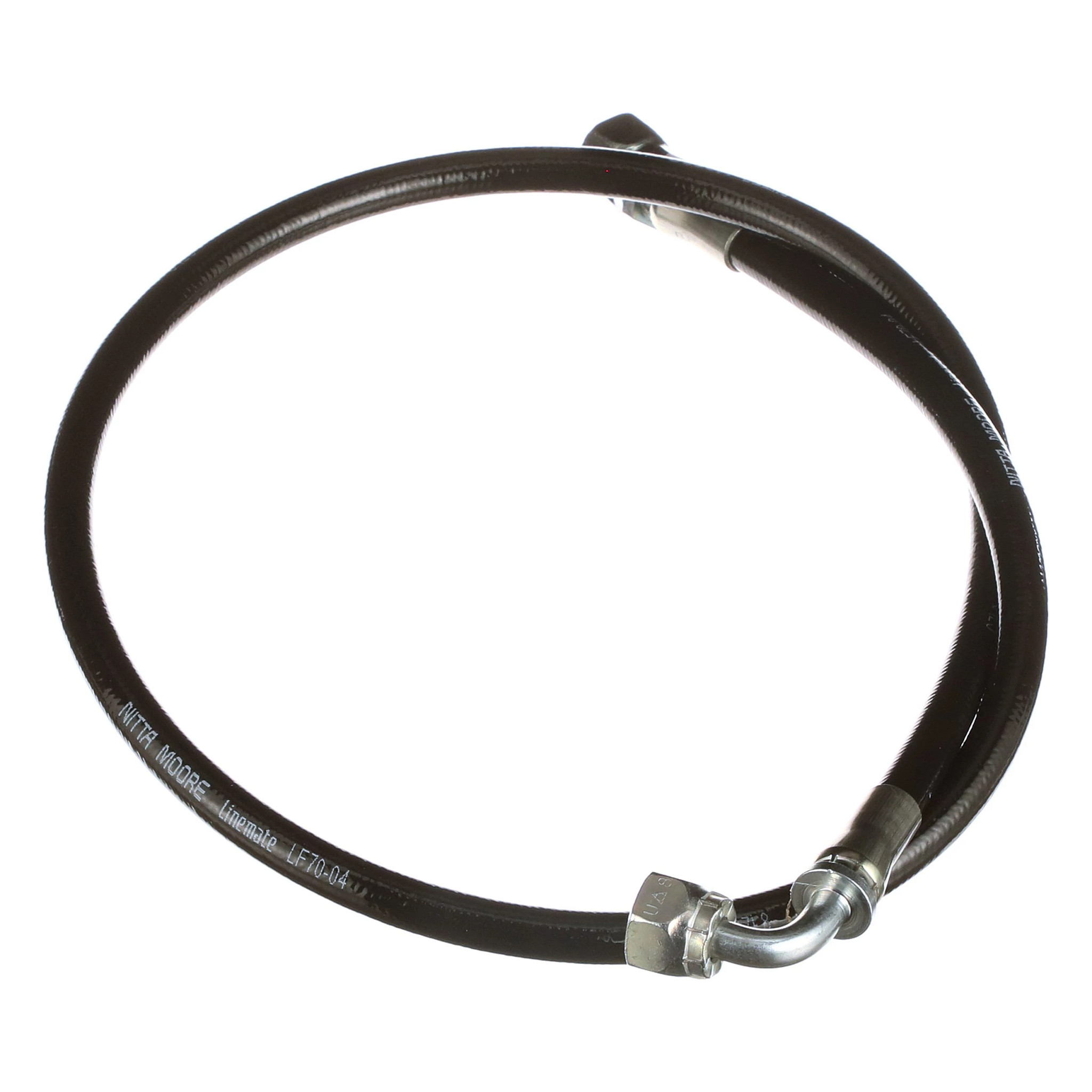 MANGUEIRA | CASECE | SA | ES