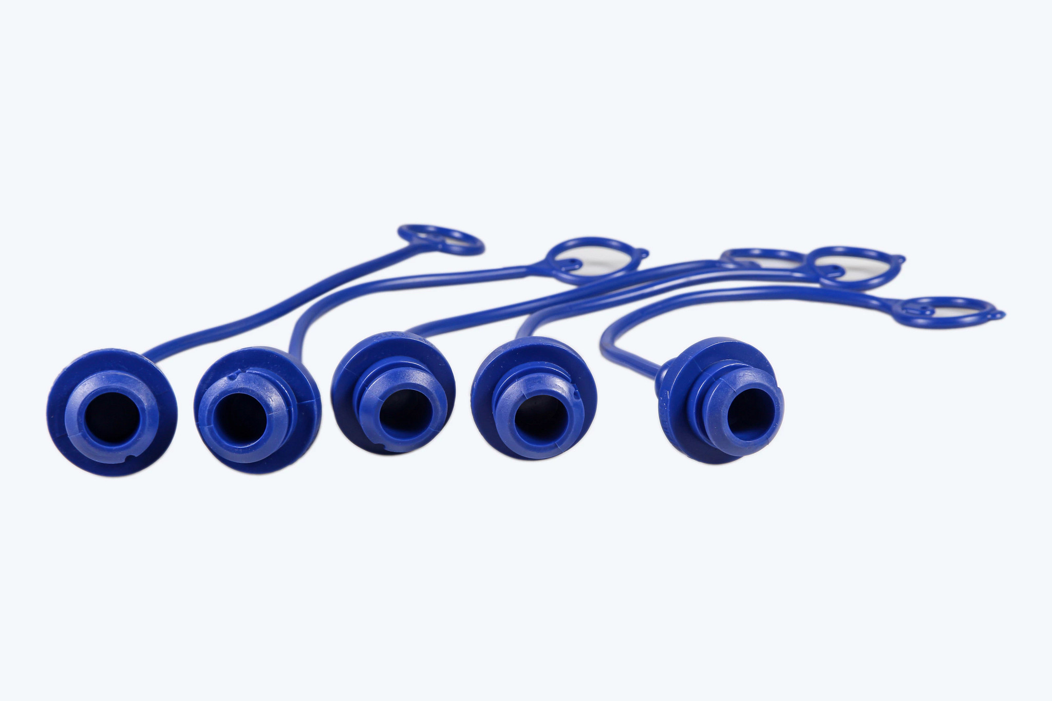 PLUG | CASECE | CA | EN