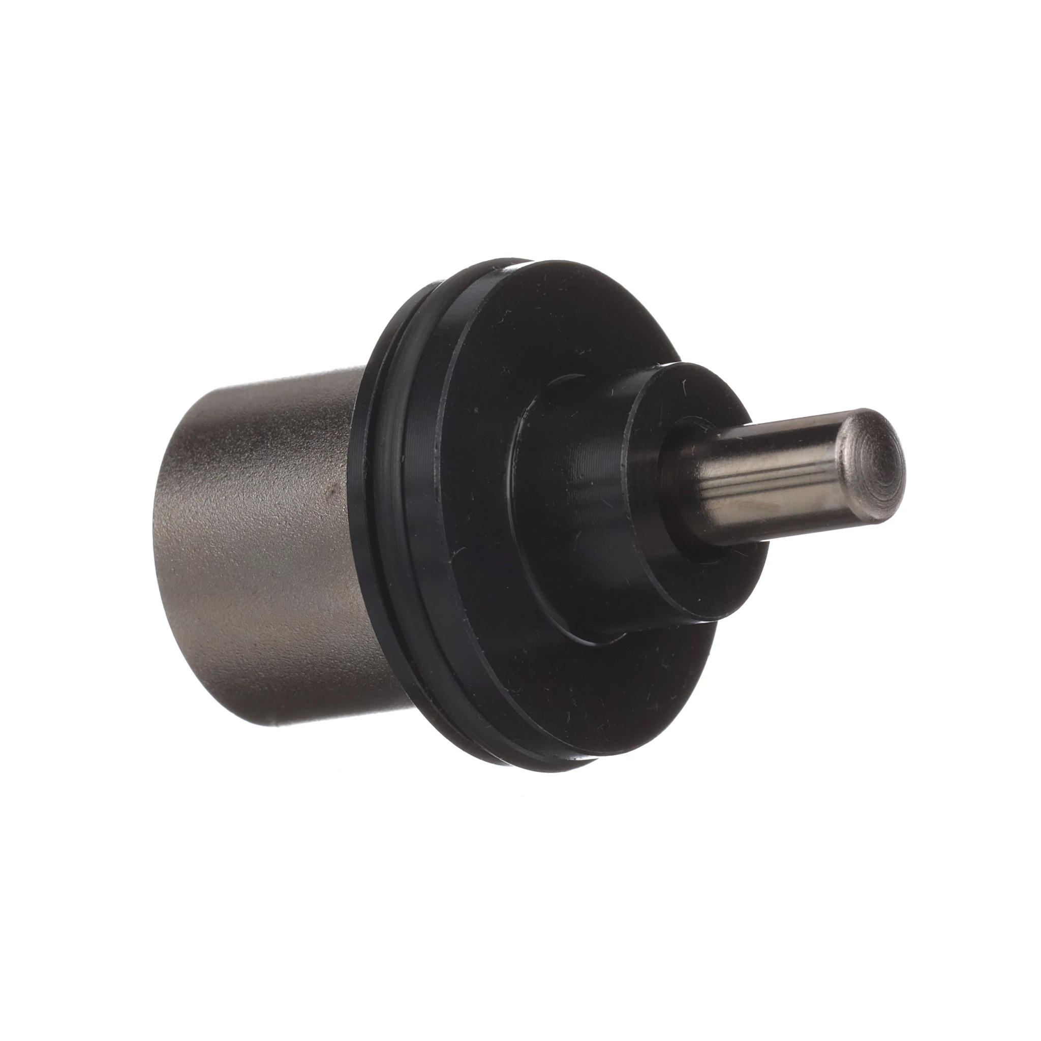 Hydraulic System Plunger | CASECE | BR | PT