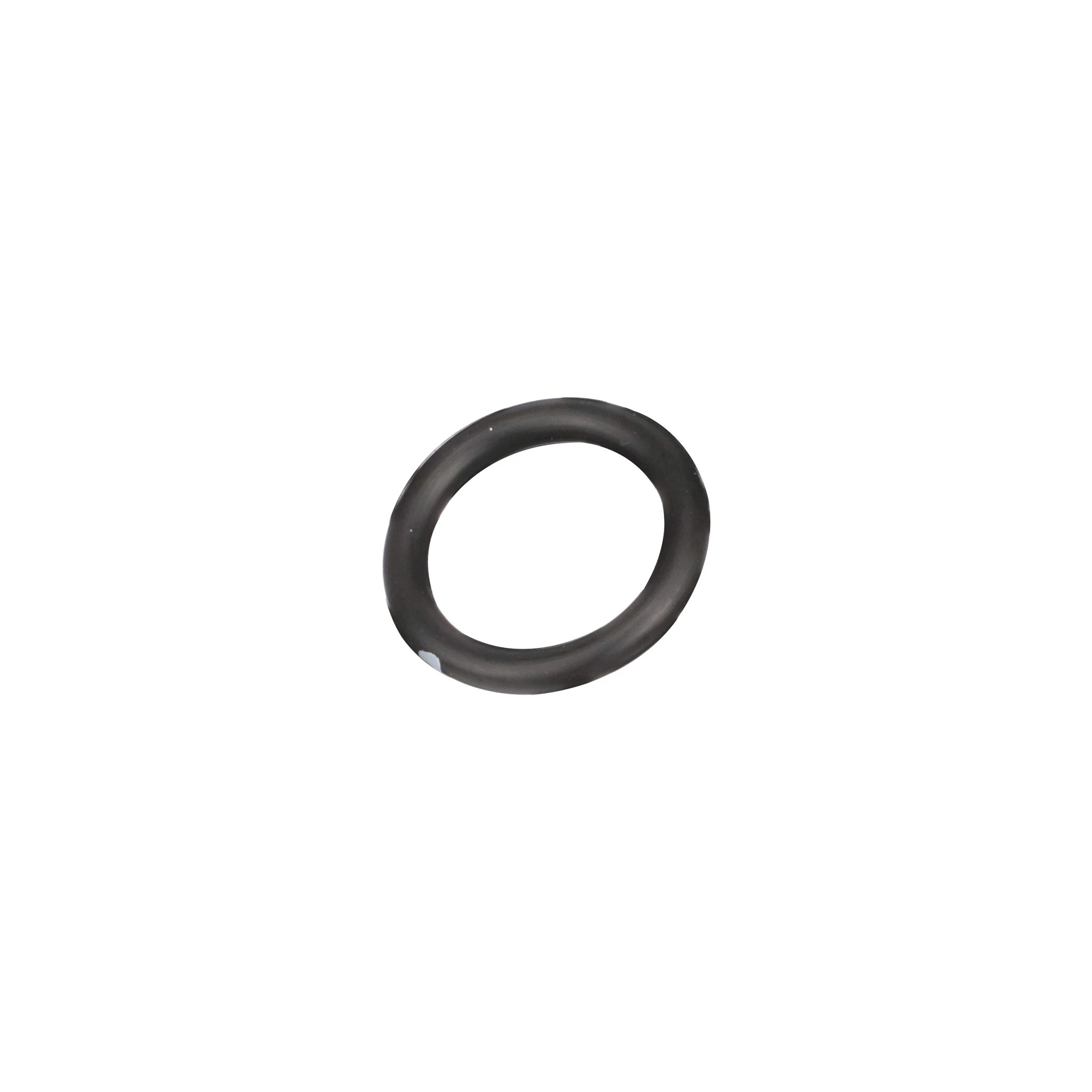 O-RING | CASECE | CA | EN