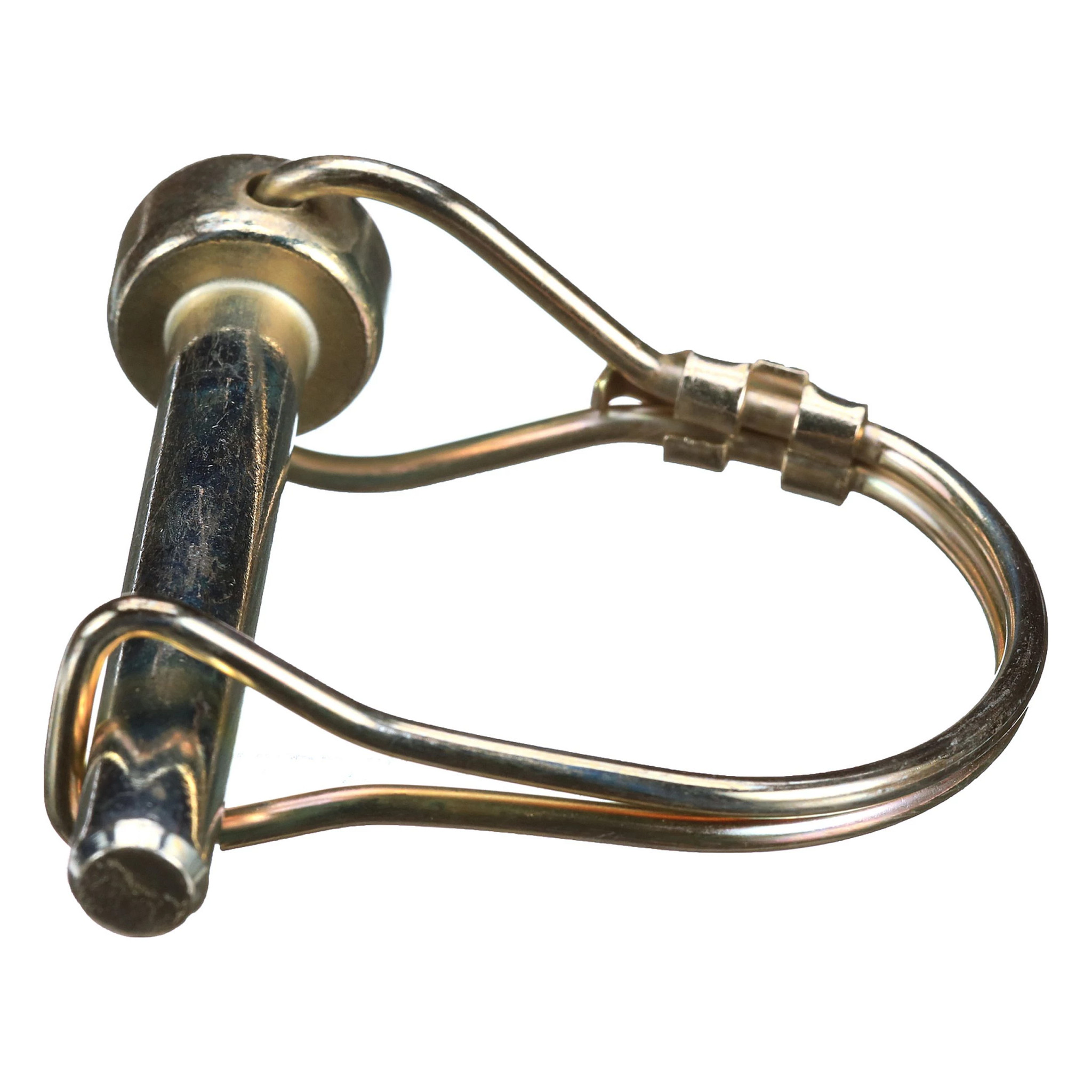 PINO | CASECE | EU | NL