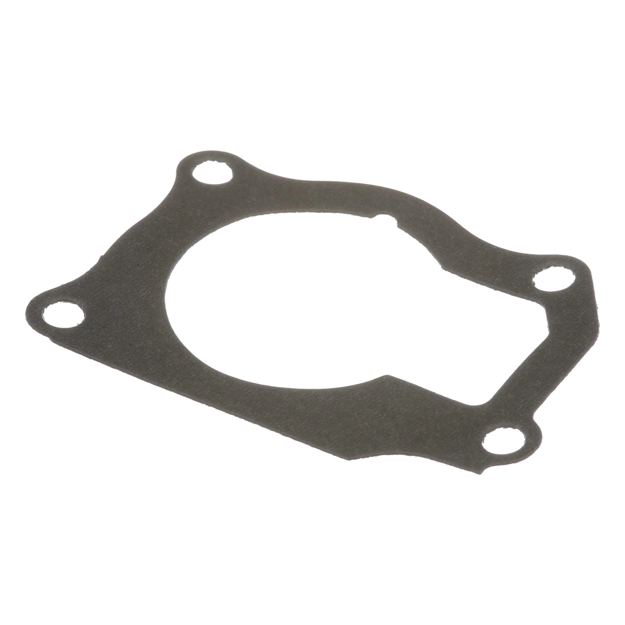 GASKET | CASECE | AMEA | EN