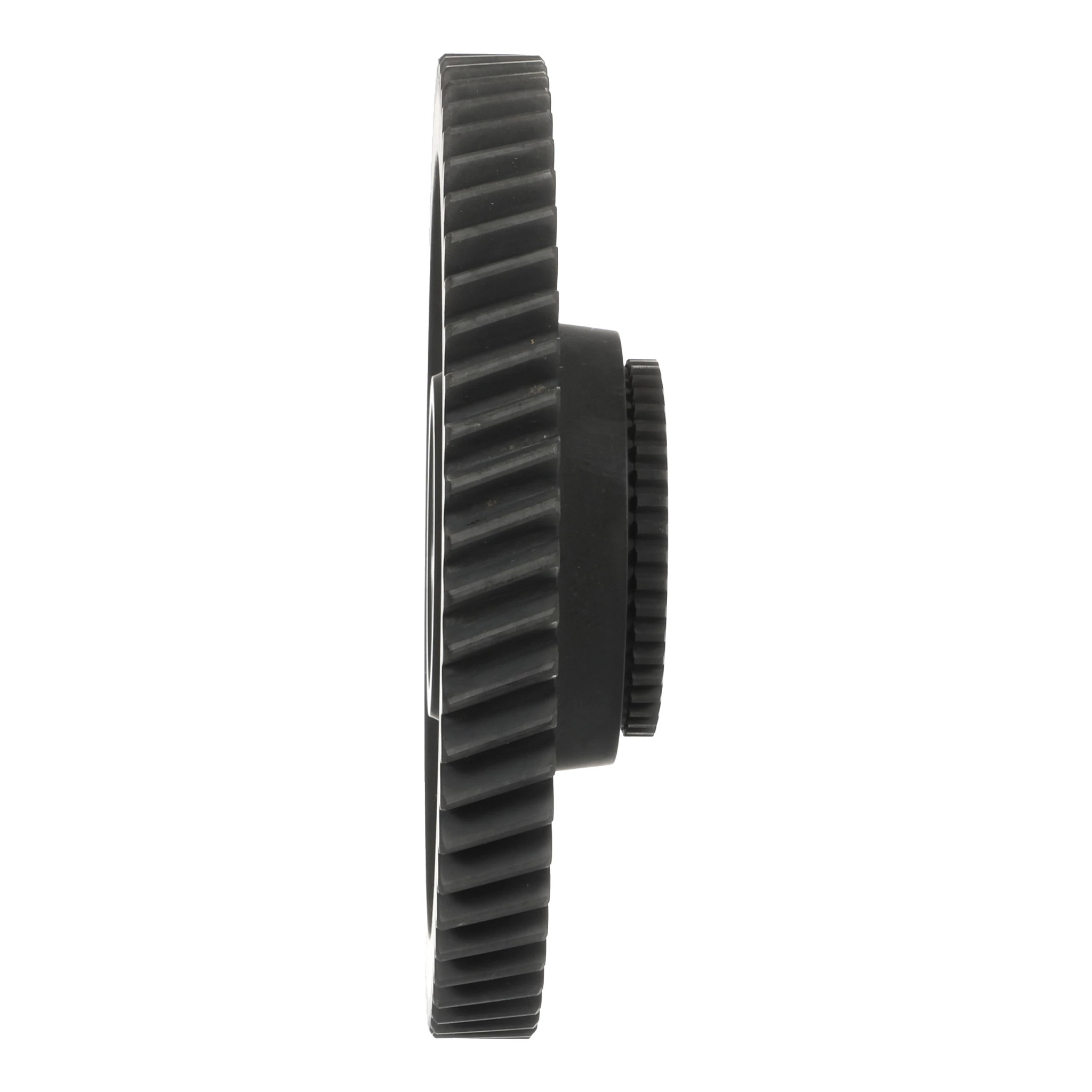 PIGNON | CASECE | AMEA | FR