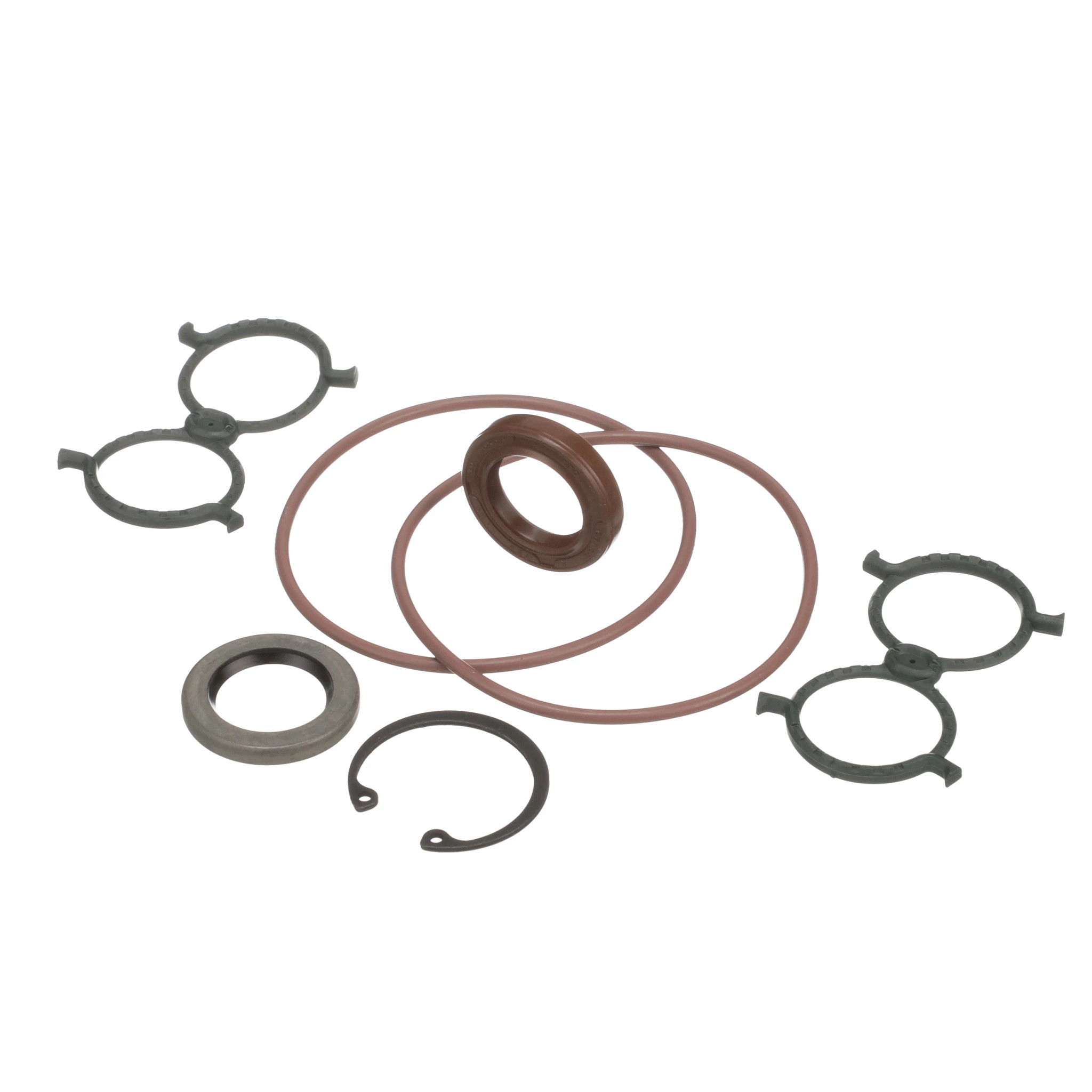 Motor Seal Kit | CASECE | BR | PT