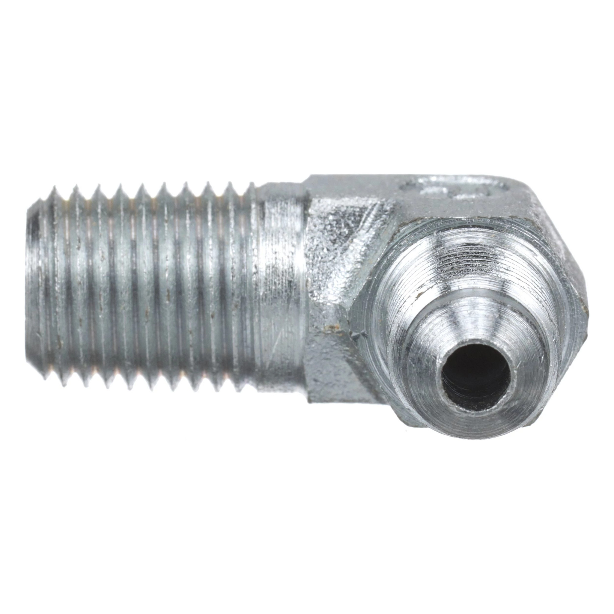 COTOVELO | CASECE | EU | ES