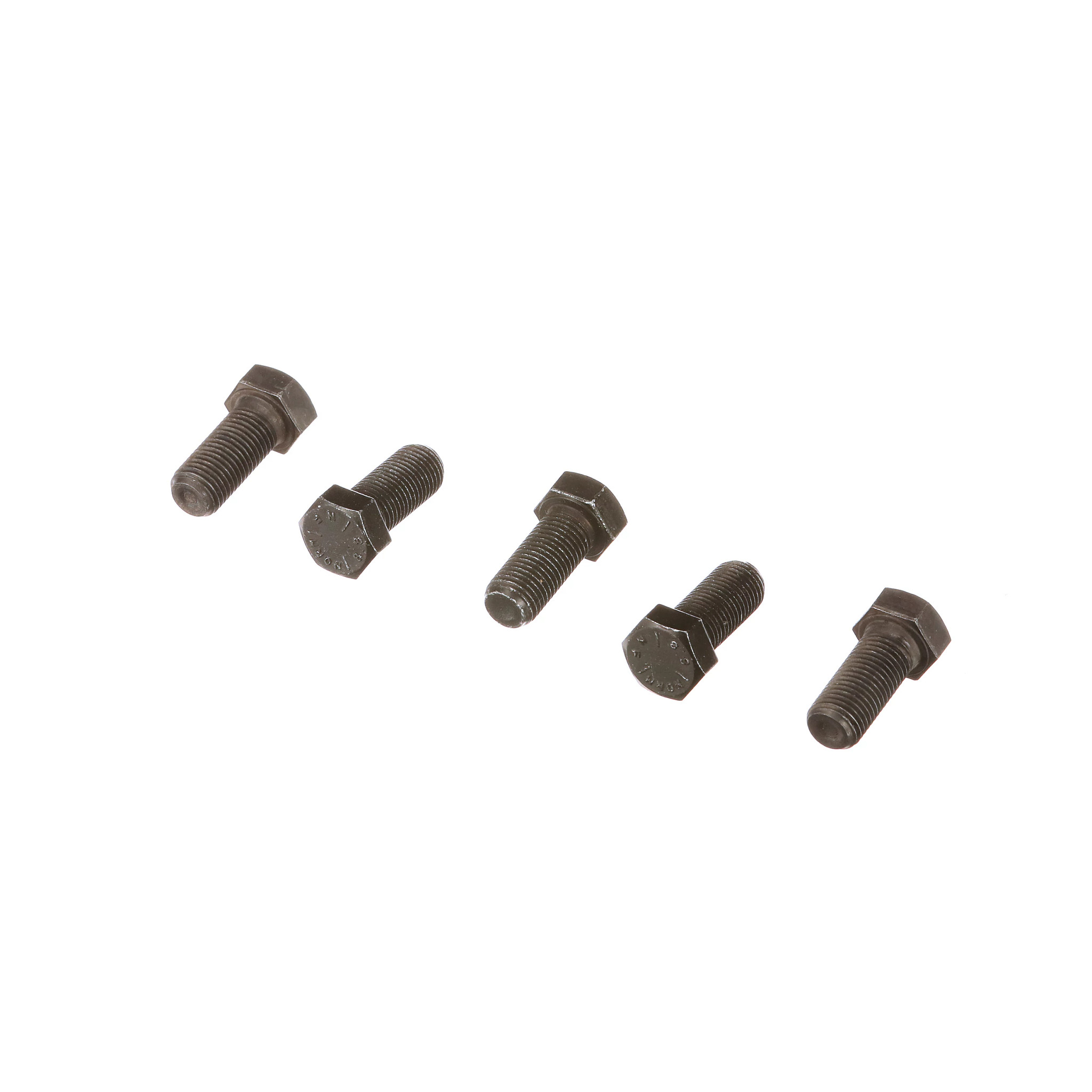 Parafuso | CASECE | BR | PT