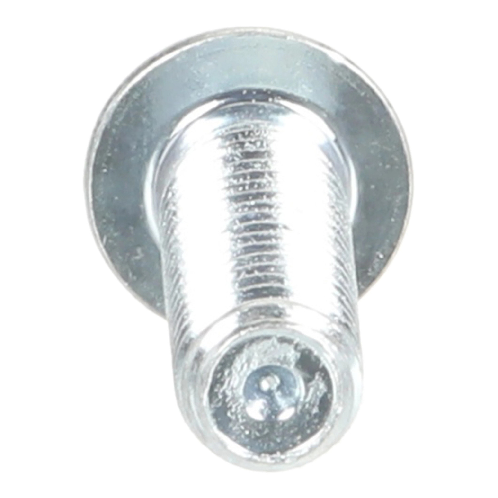 SCREW | CASECE | SA | EN