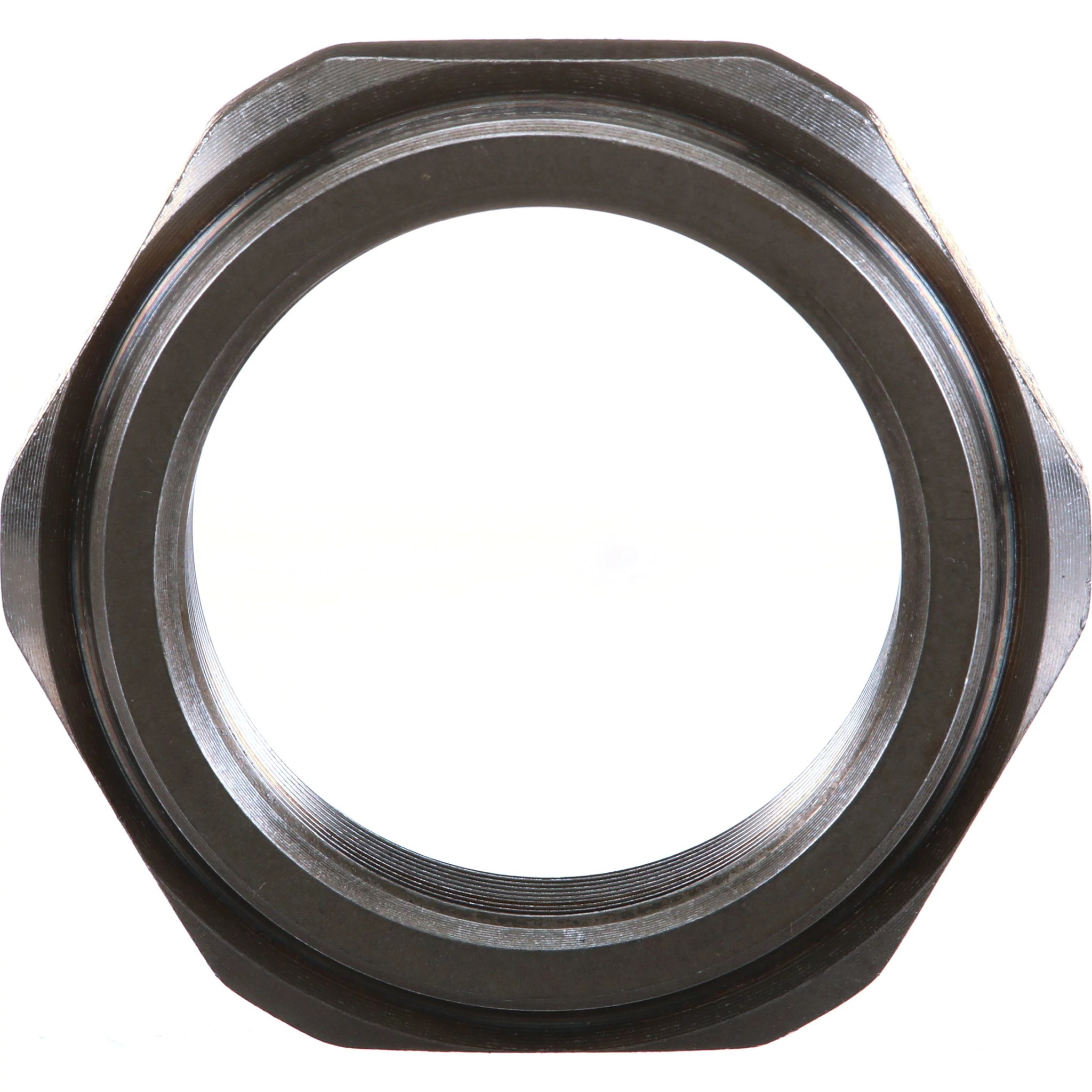 NUT | NEWHOLLANDAG | CA | EN