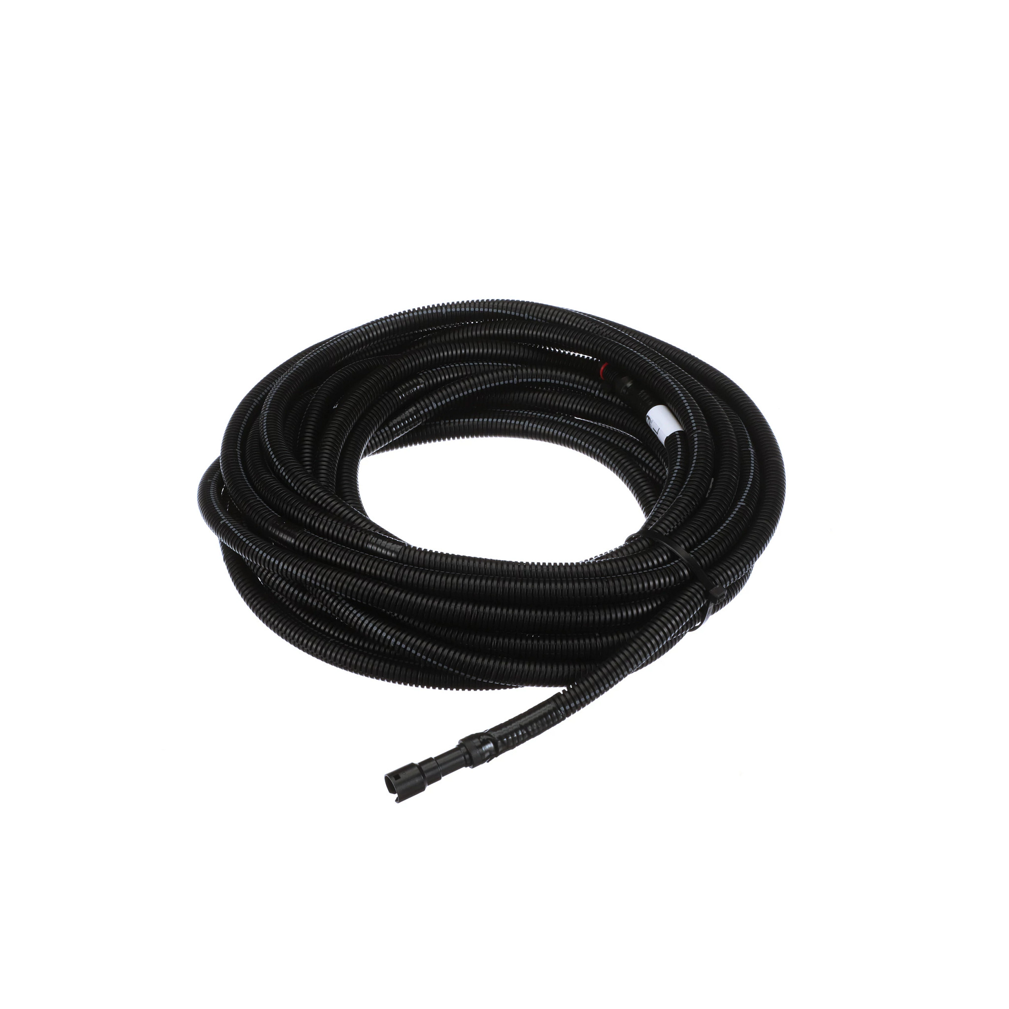 CHICOTE | CASECE | BR | PT