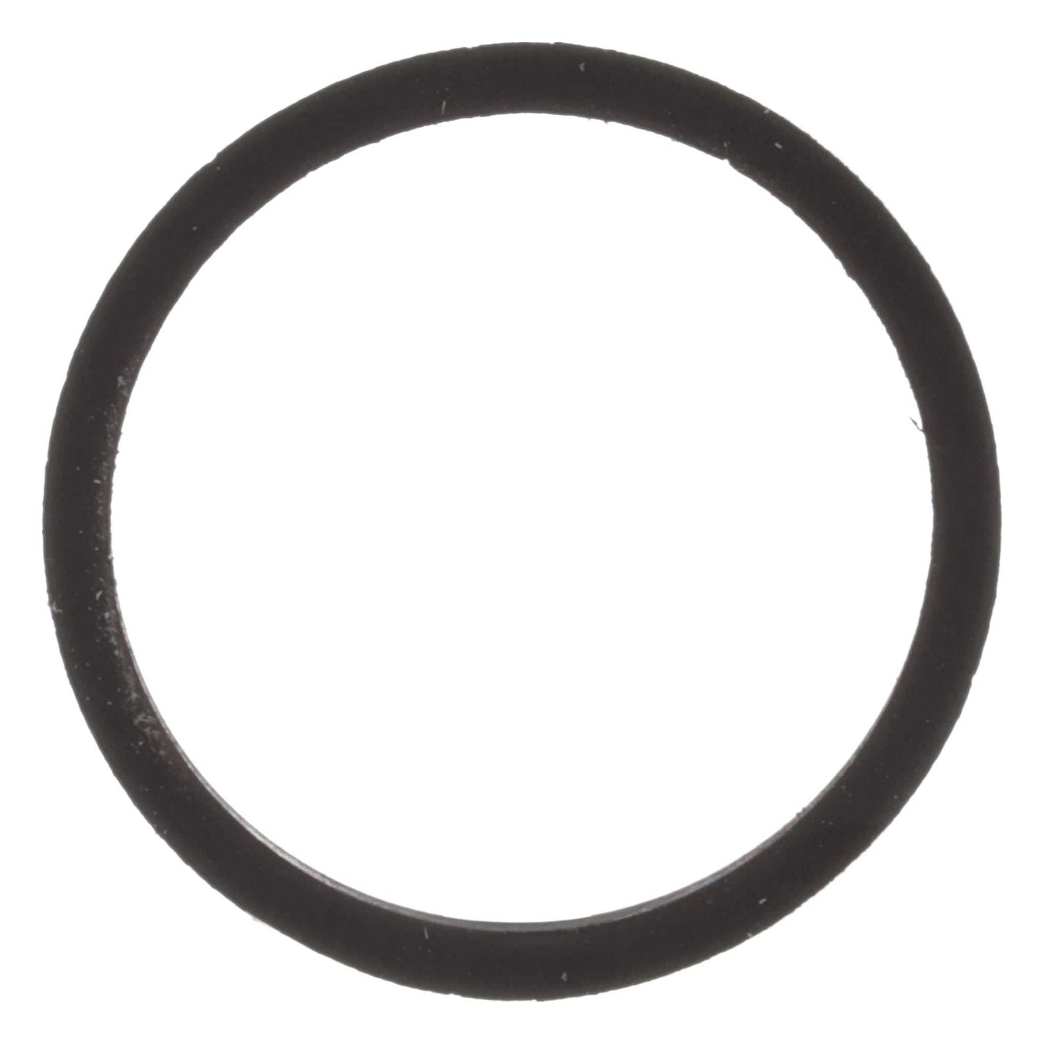 Backup Ring