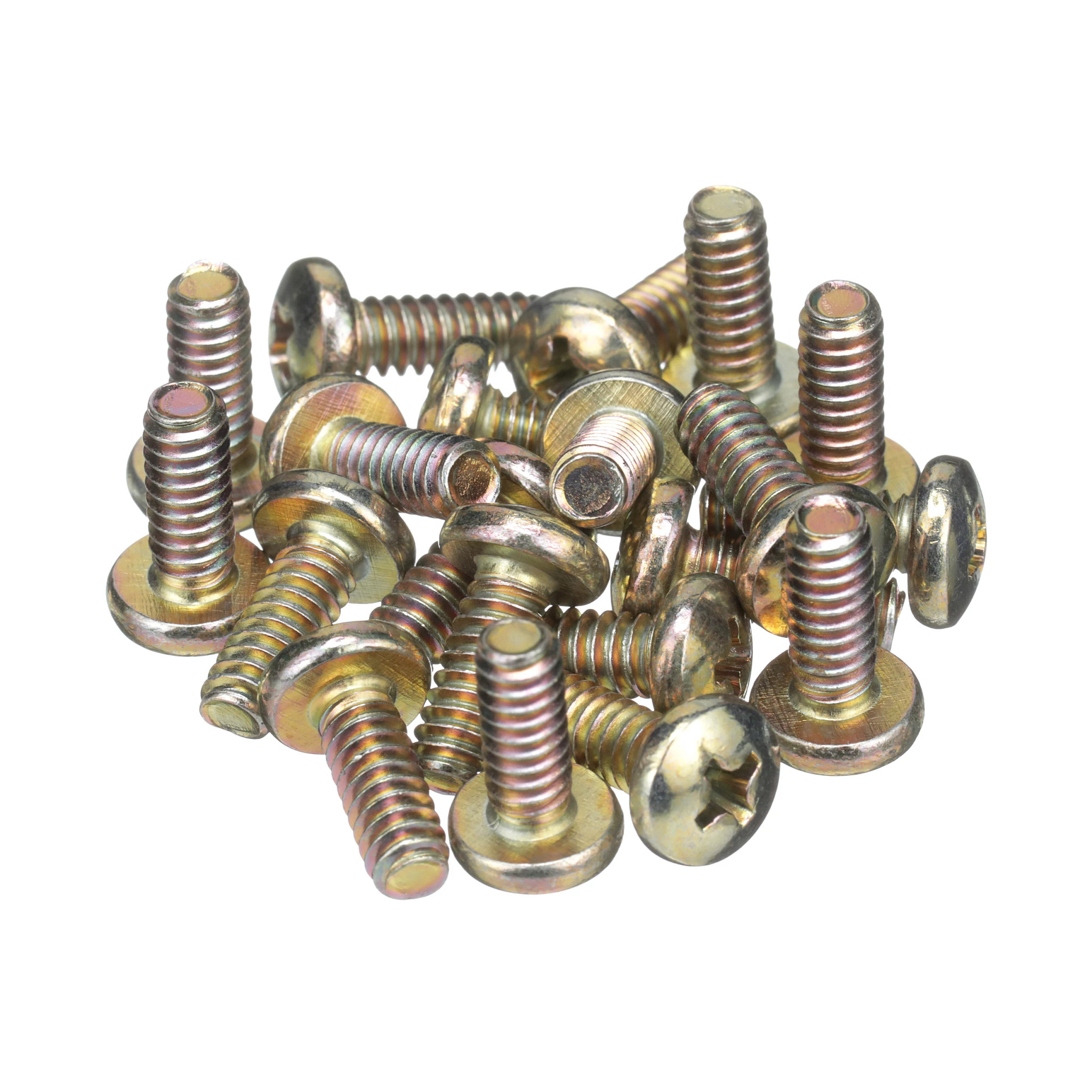 SCREW | CASECE | CA | EN