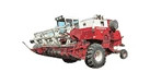 CEIFEIRA-DEBULHADORA INTERNATIONAL HARVESTER (N/S 8001 E APÓS) | CASEIH | BR | PT