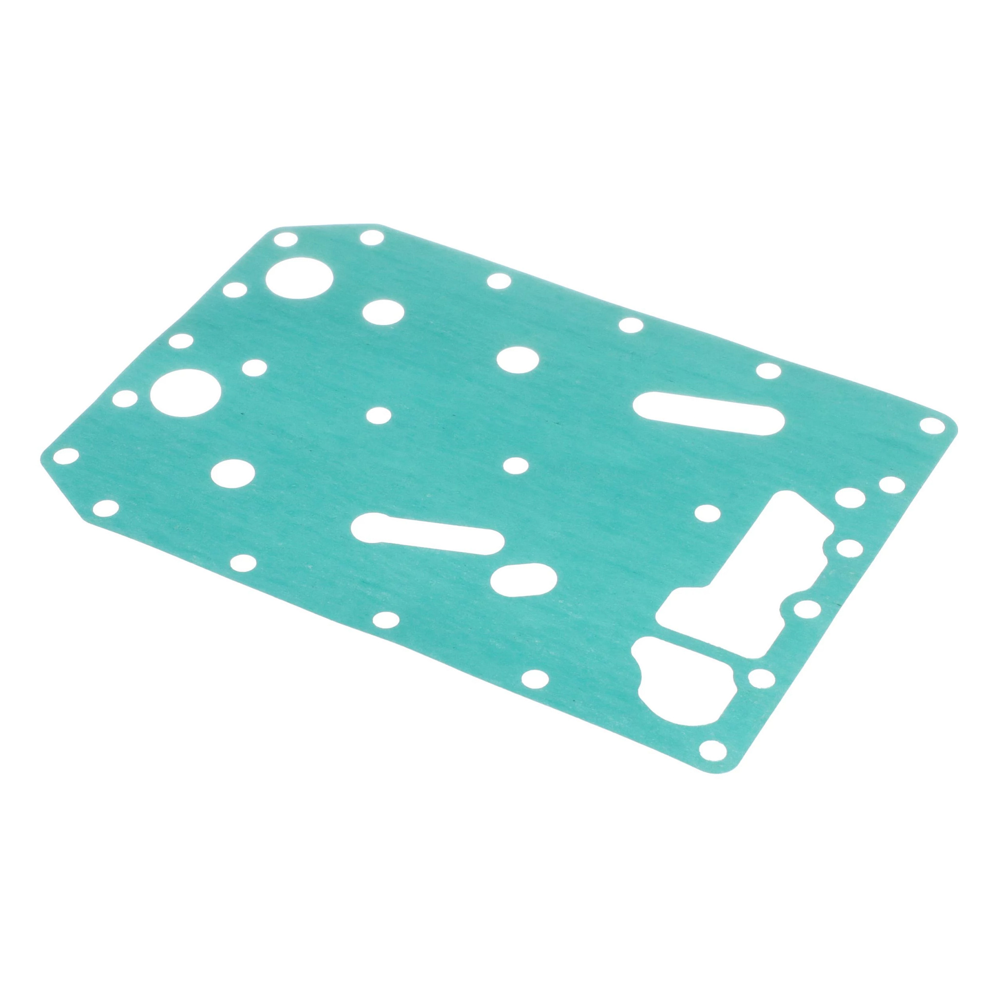 Gasket | CASEIH | CA | EN