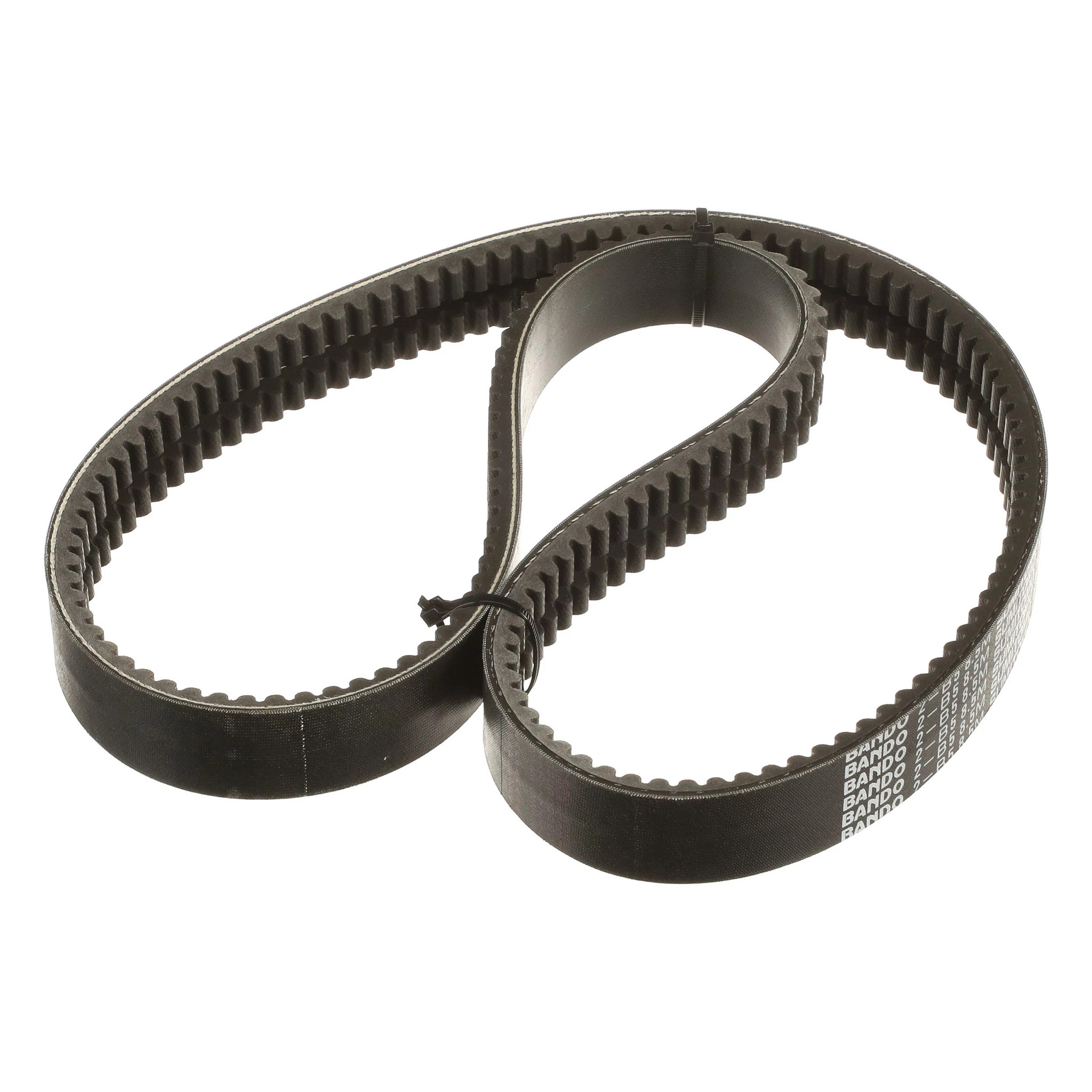 BELT | CASECE | US | EN