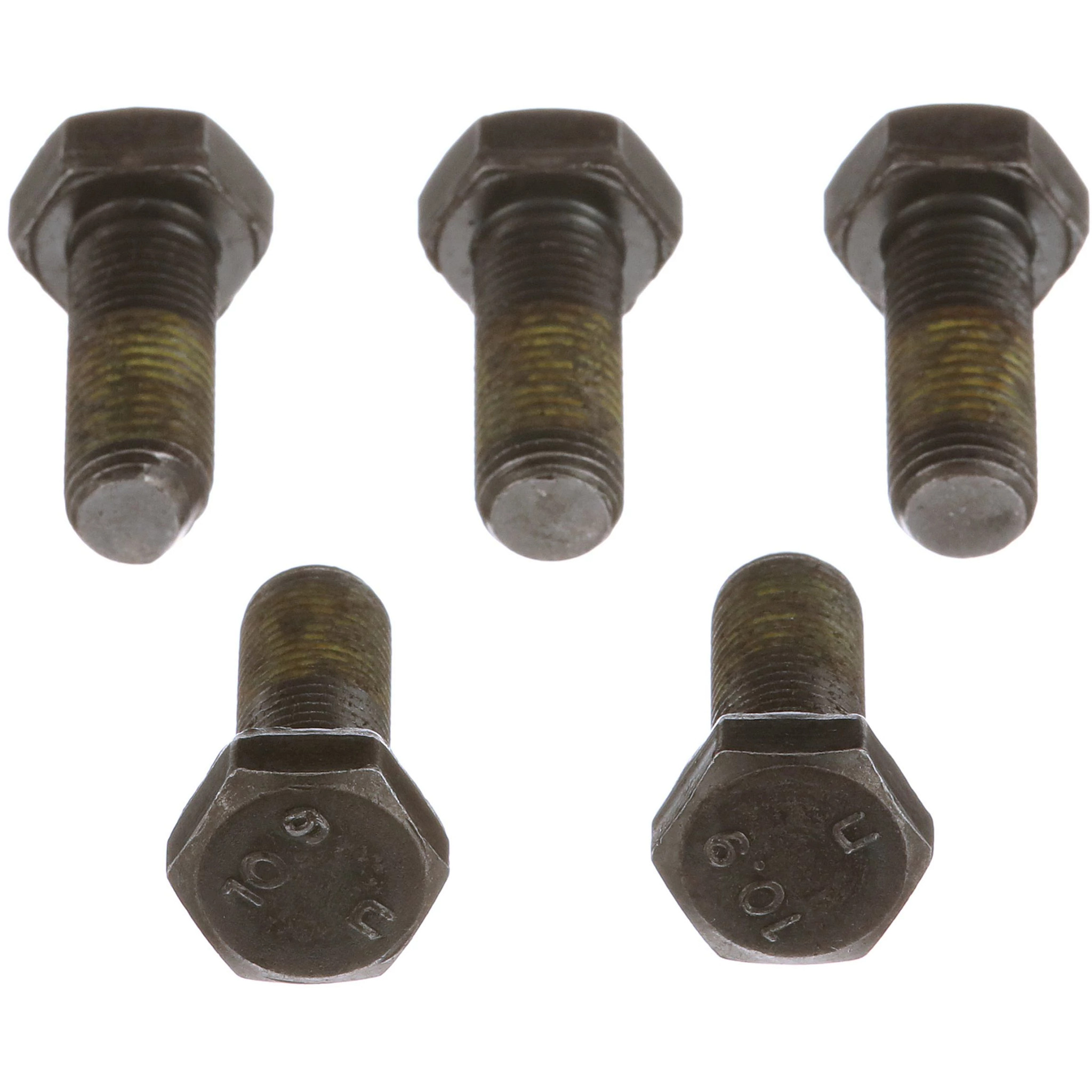 PARAFUSO | CASECE | EU | FR