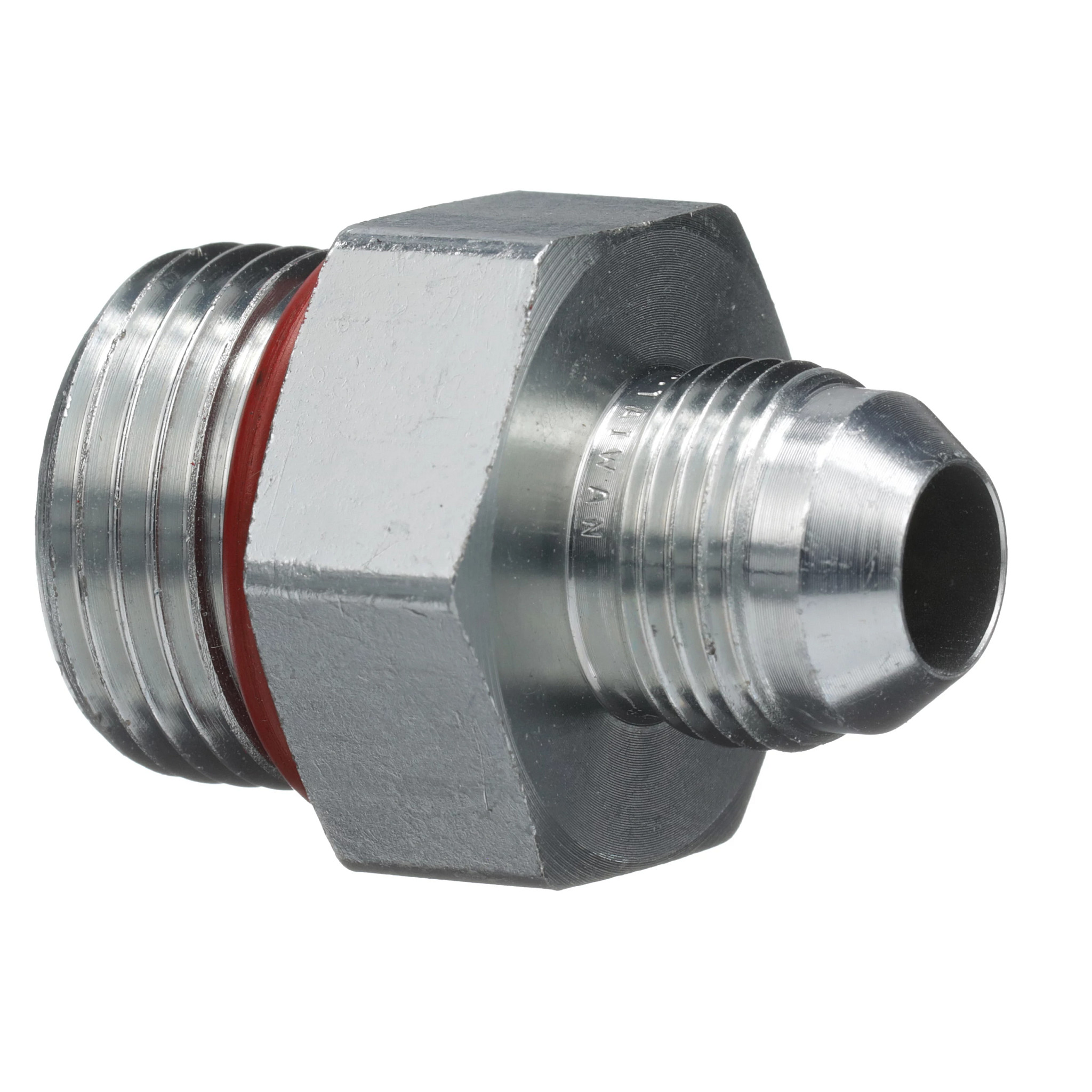 CONEXÃO | CASECE | BR | PT