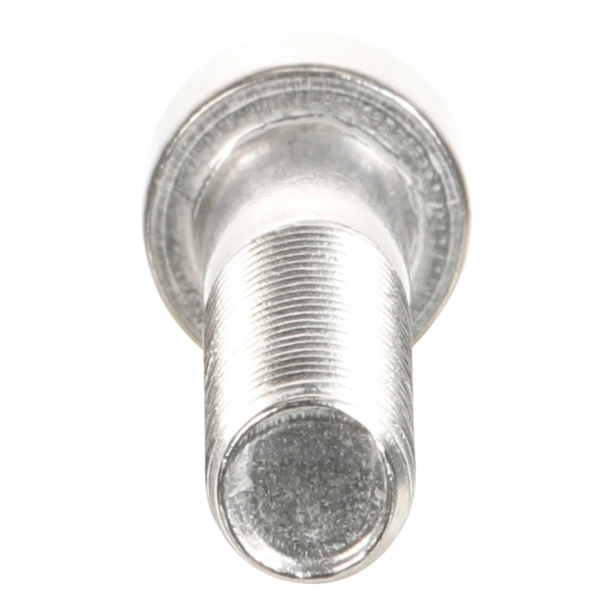 SCREW | CASECE | US | EN