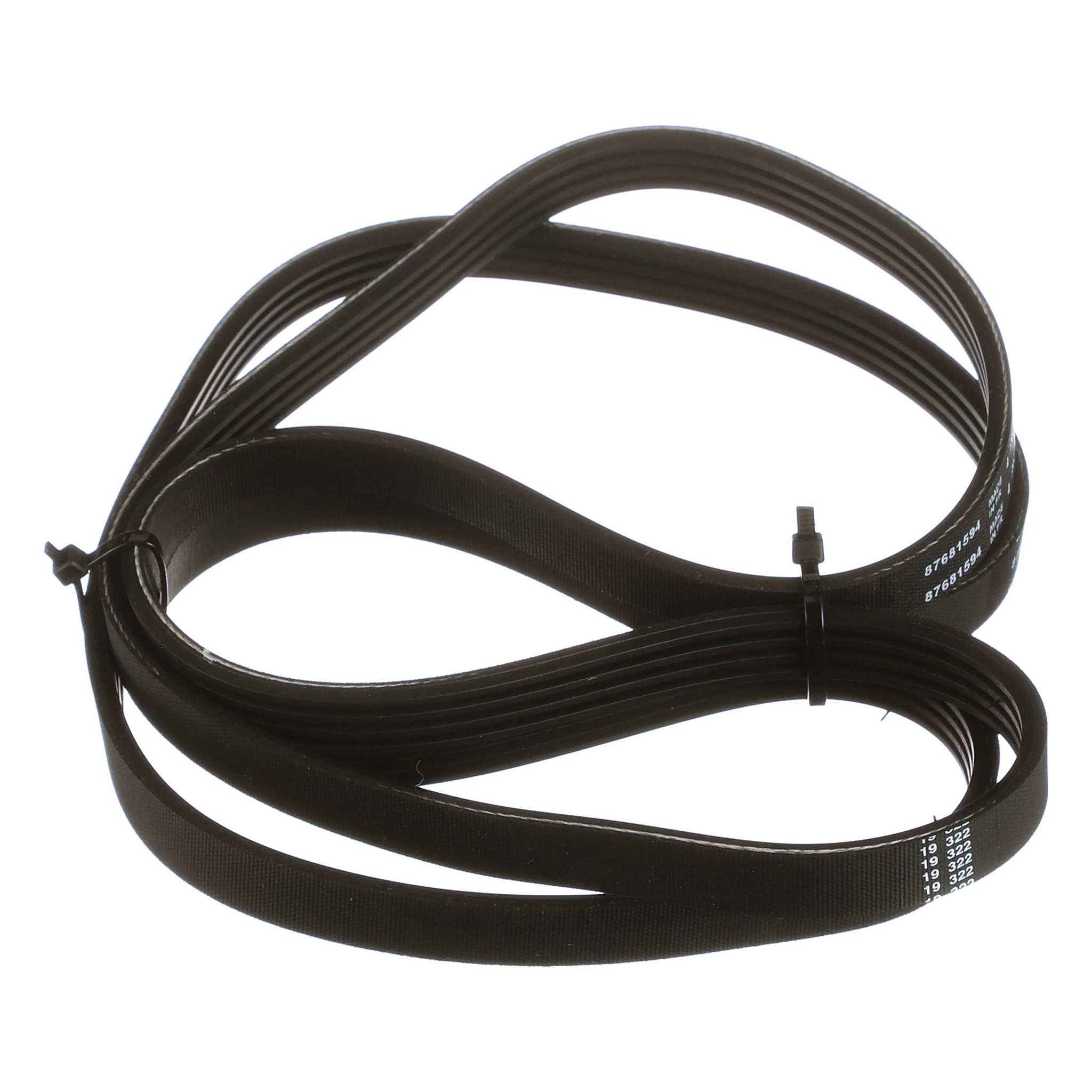 BELT | CASECE | EU | FR