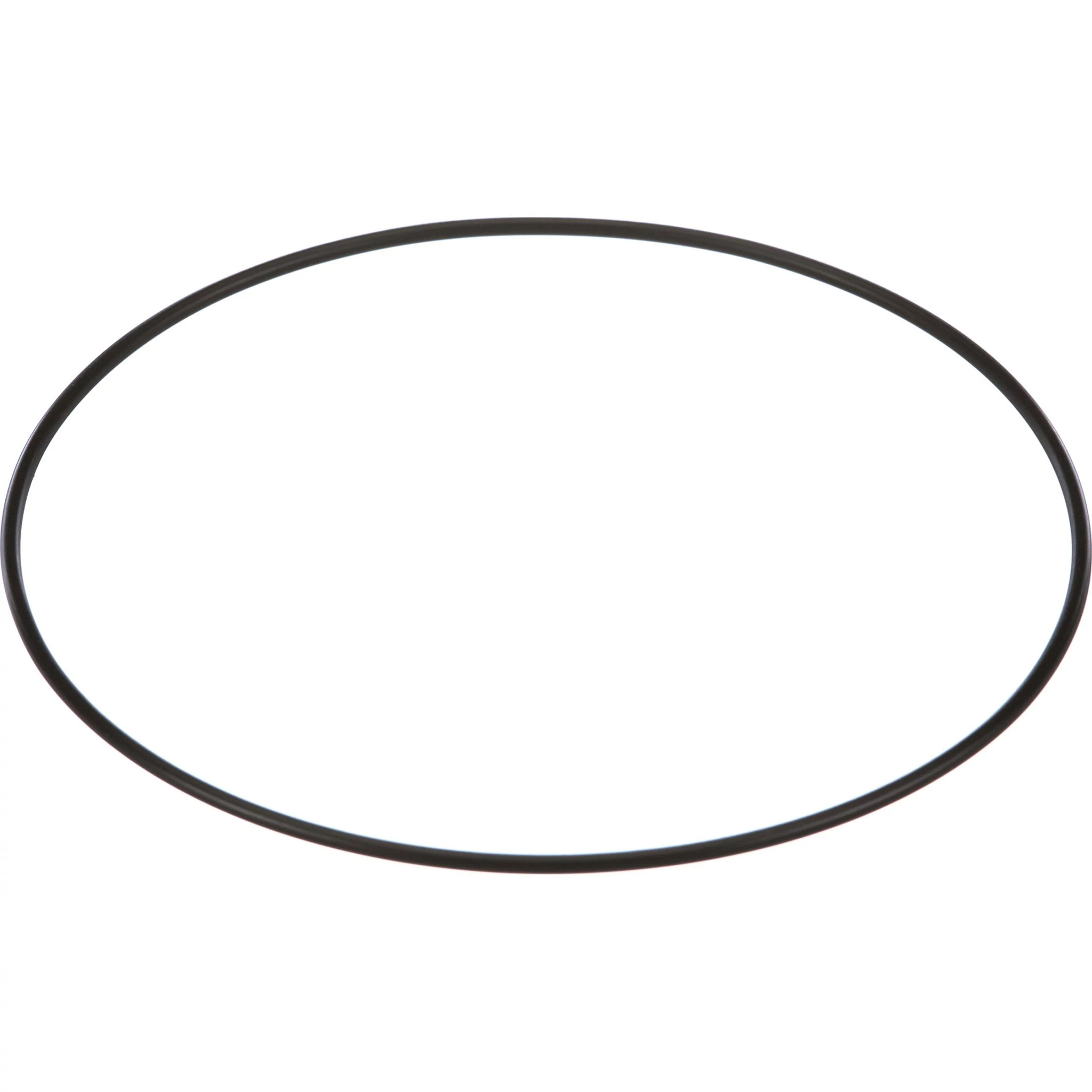 JOINT TORIQUE | CASEIH | CA | EN