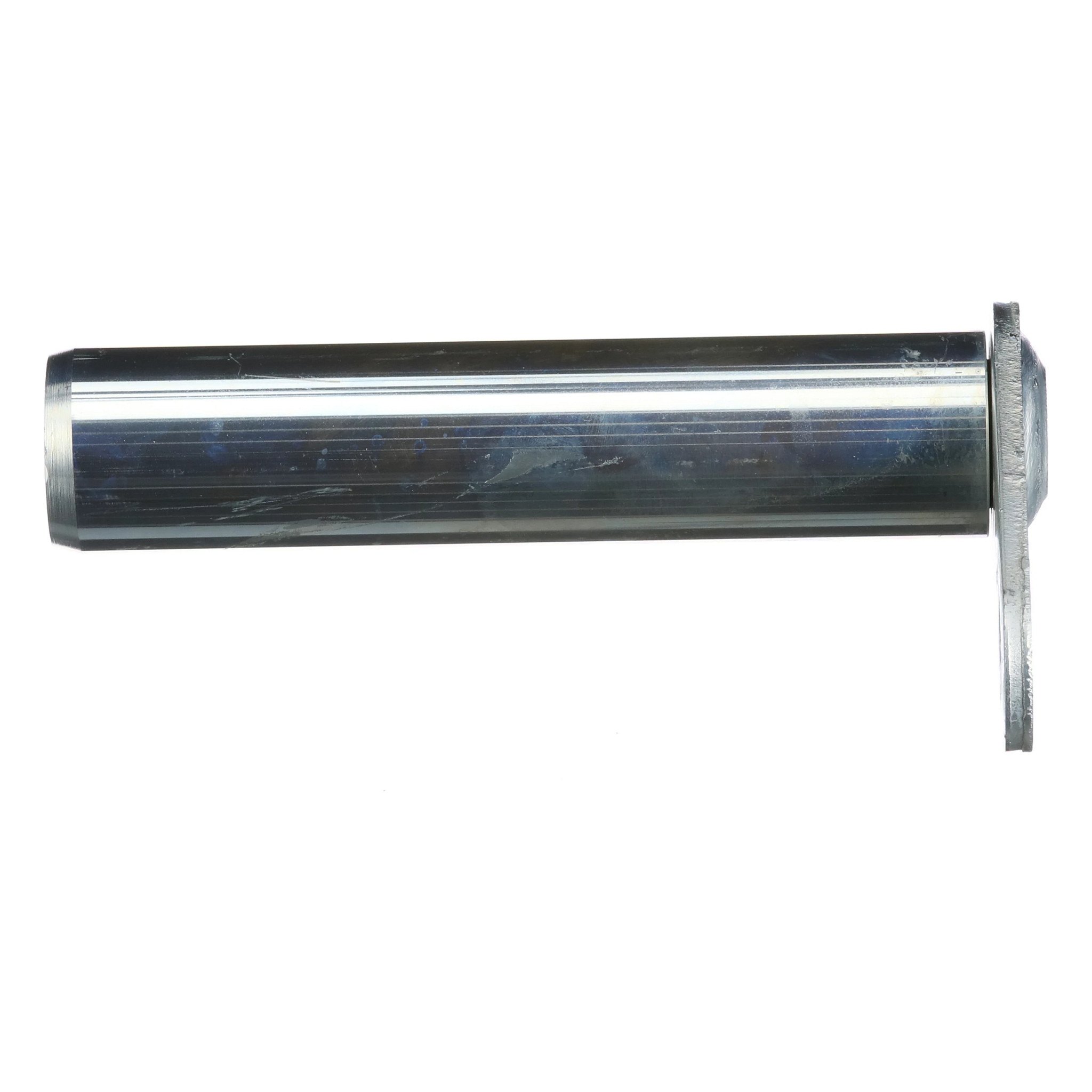 PIN | CASECE | AMEA | EN