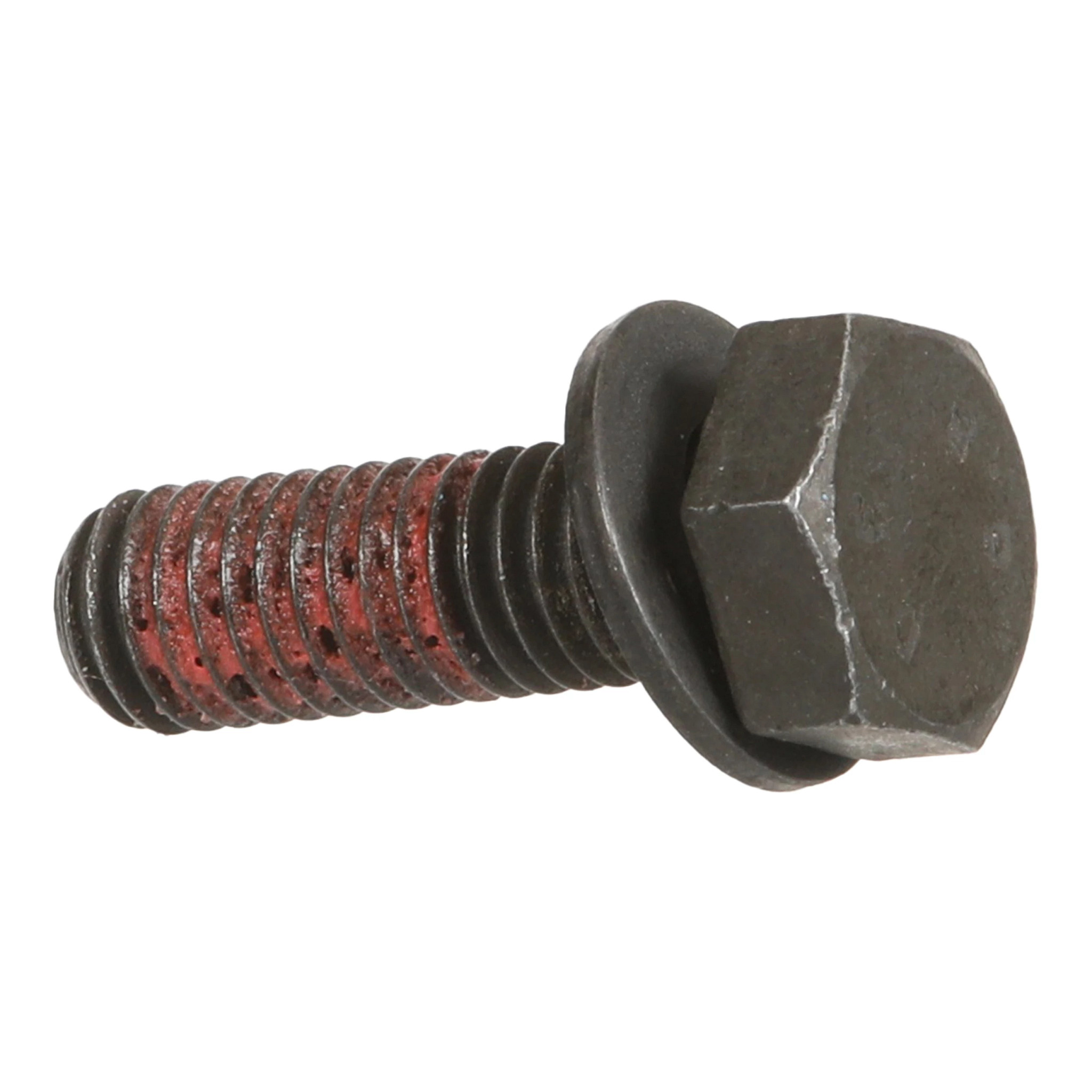 Screw | CASECE | CA | EN