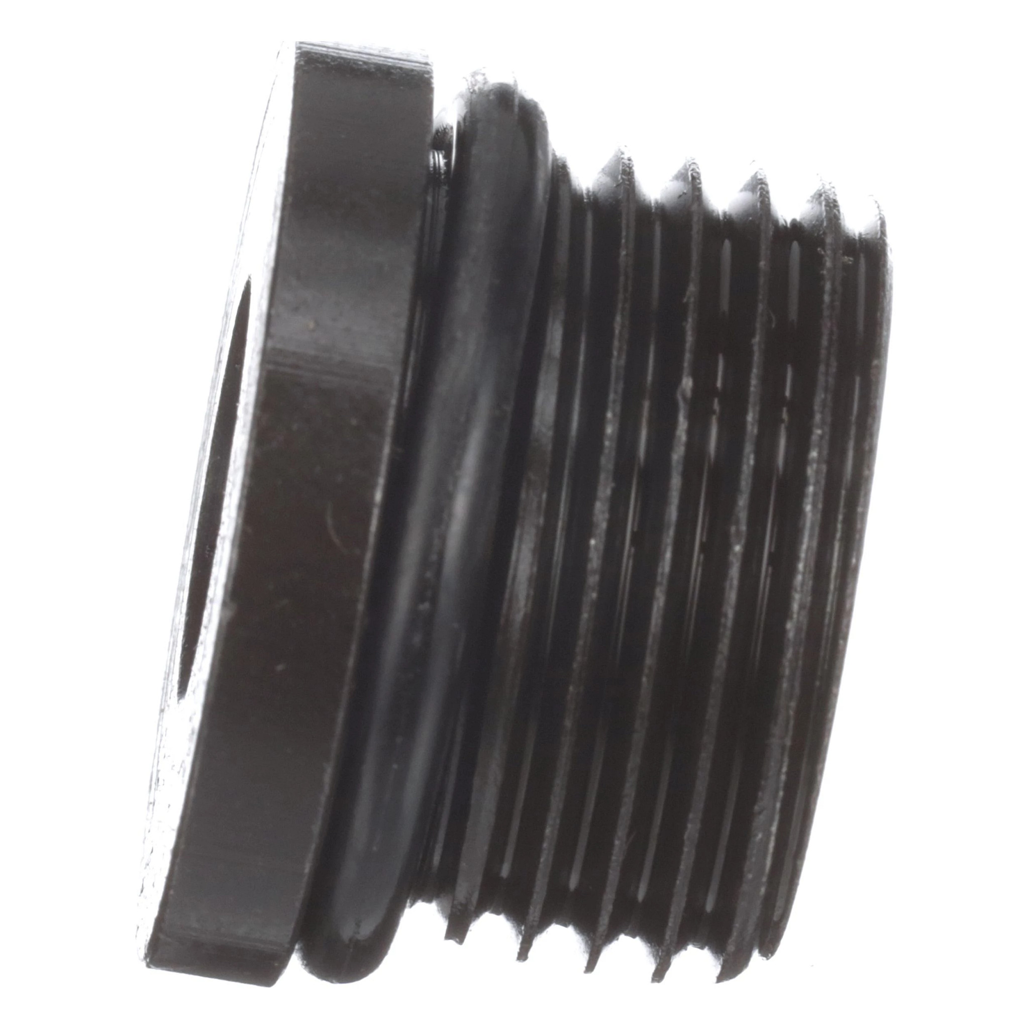 PLUG | CASECE | CA | EN