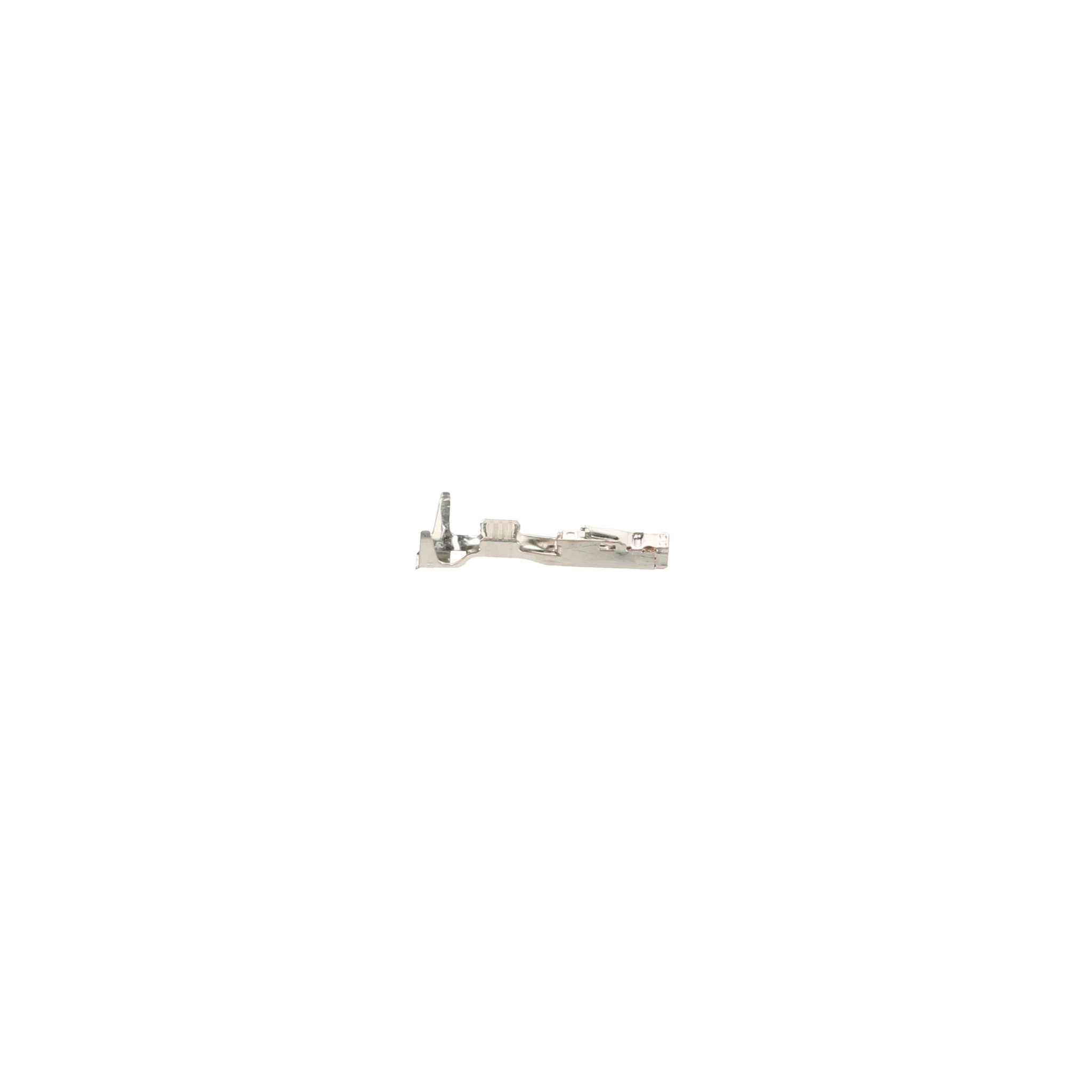 PINO TERMINAL | CASECE | BR | PT