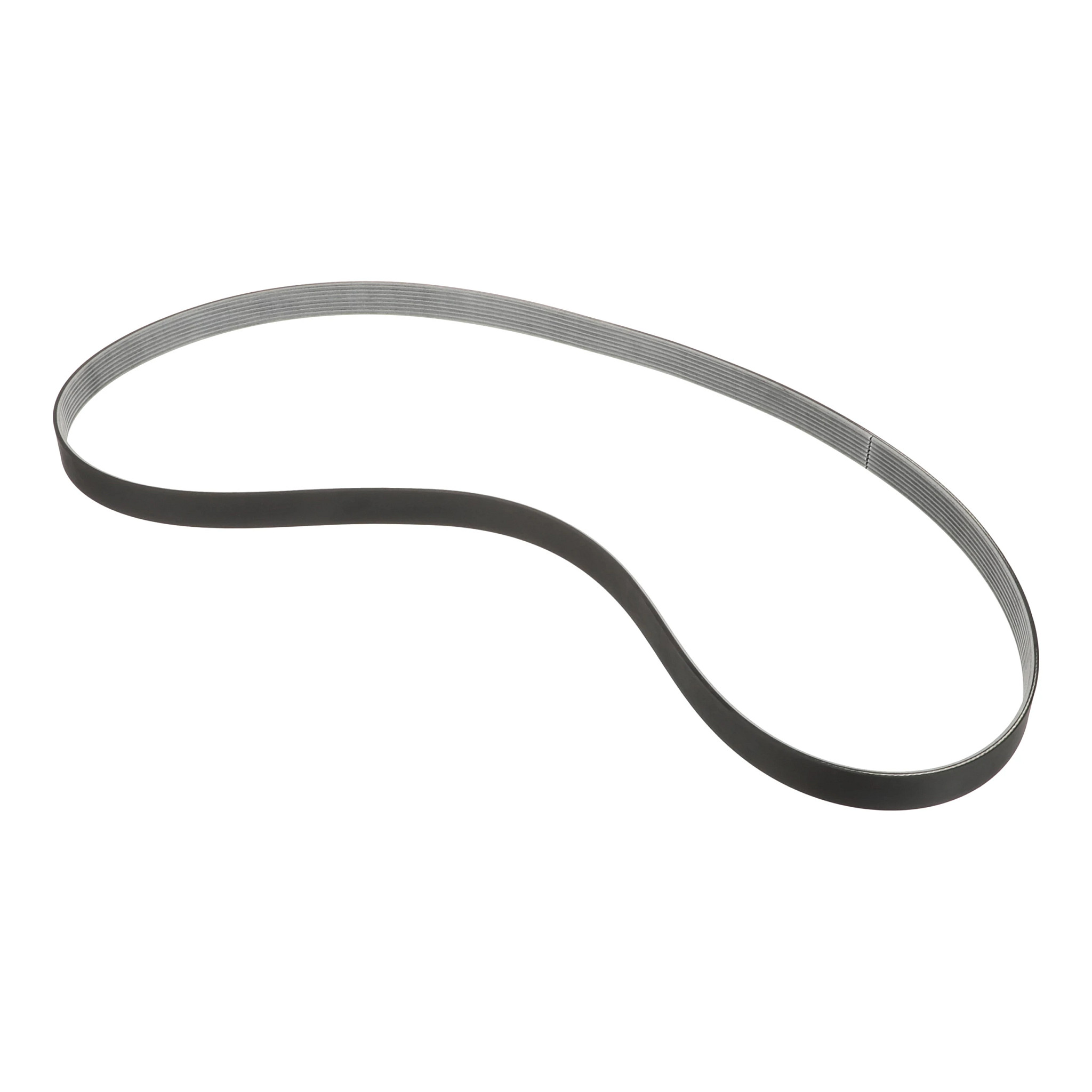 Belt | CASECE | CA | FR