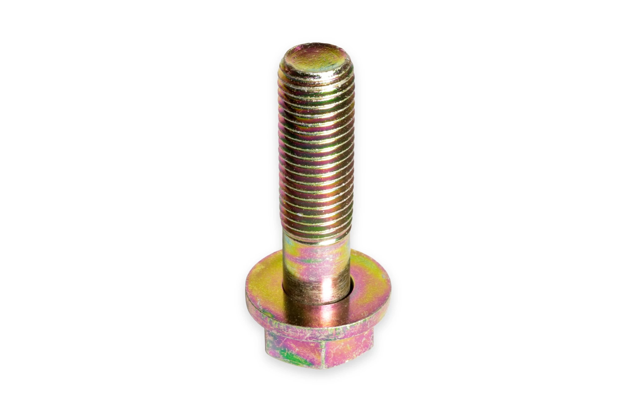 FIP KIT | CASECE | CA | EN