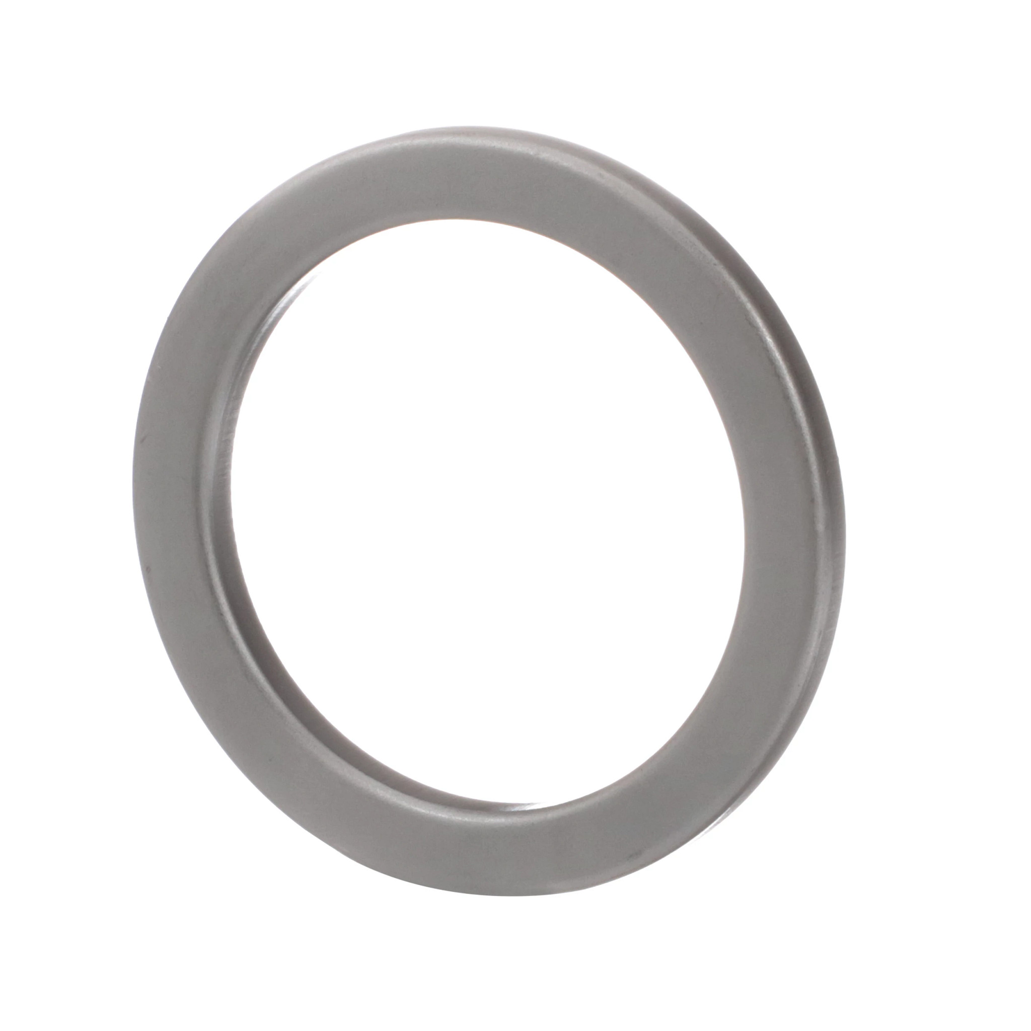 Retainer Spring | CASECE | BR | PT