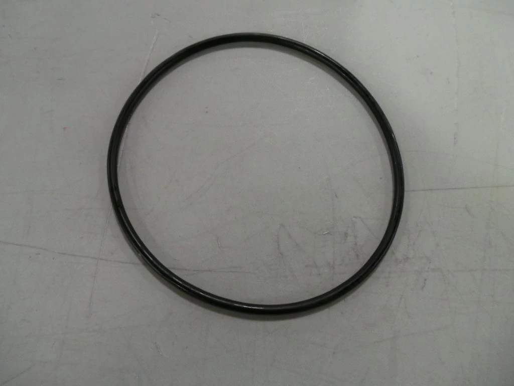 O-RING | NEWHOLLANDCE | AMEA | EN