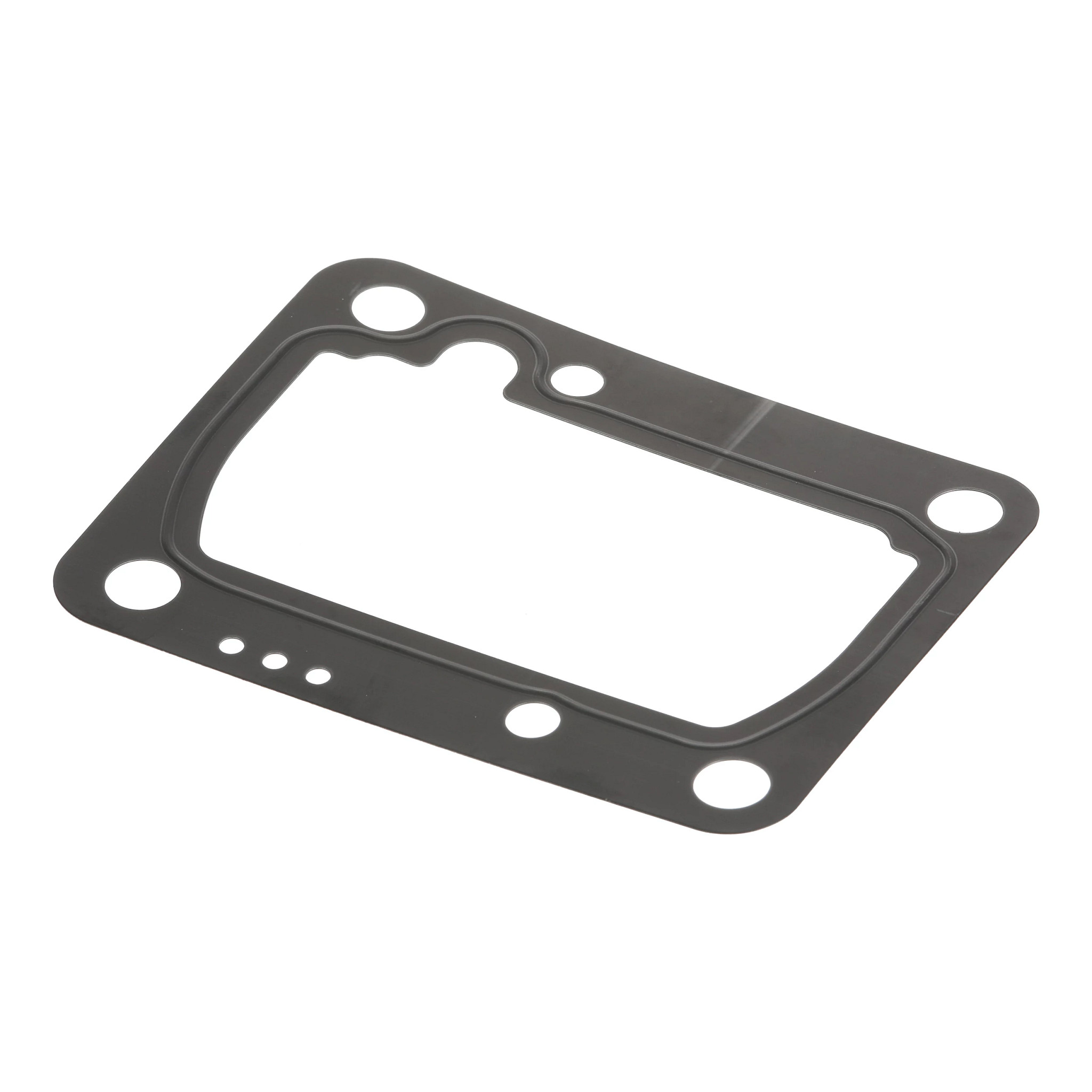 Shim | CASECE | US | EN