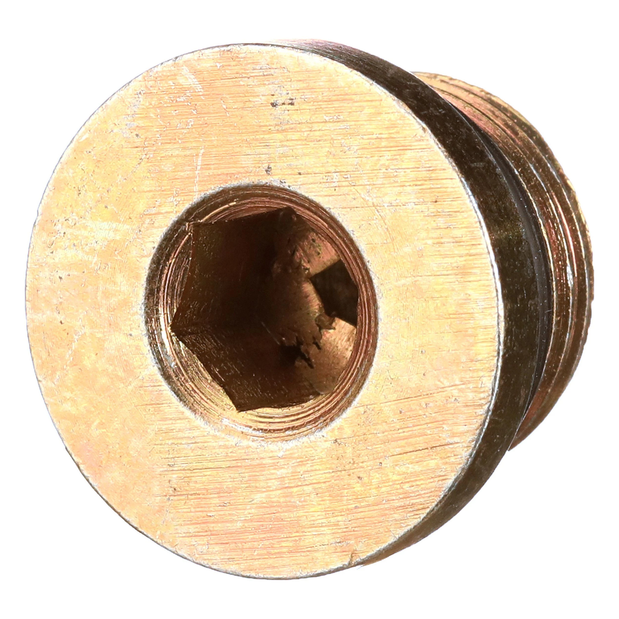 HEX SOCKET PLUG | CASECE | EU | EN